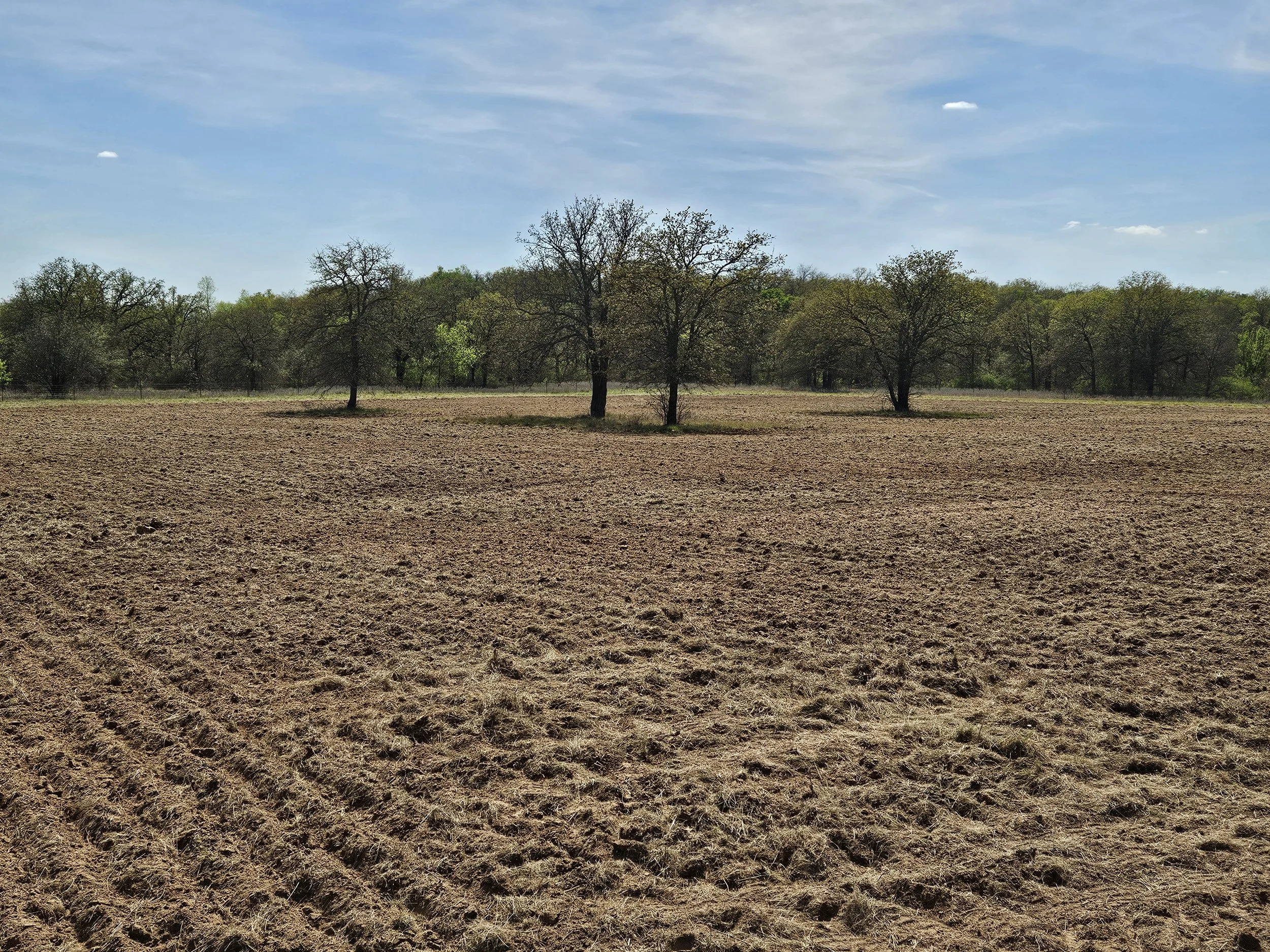 Keith G Food Plot Ploughed 2026.jpg