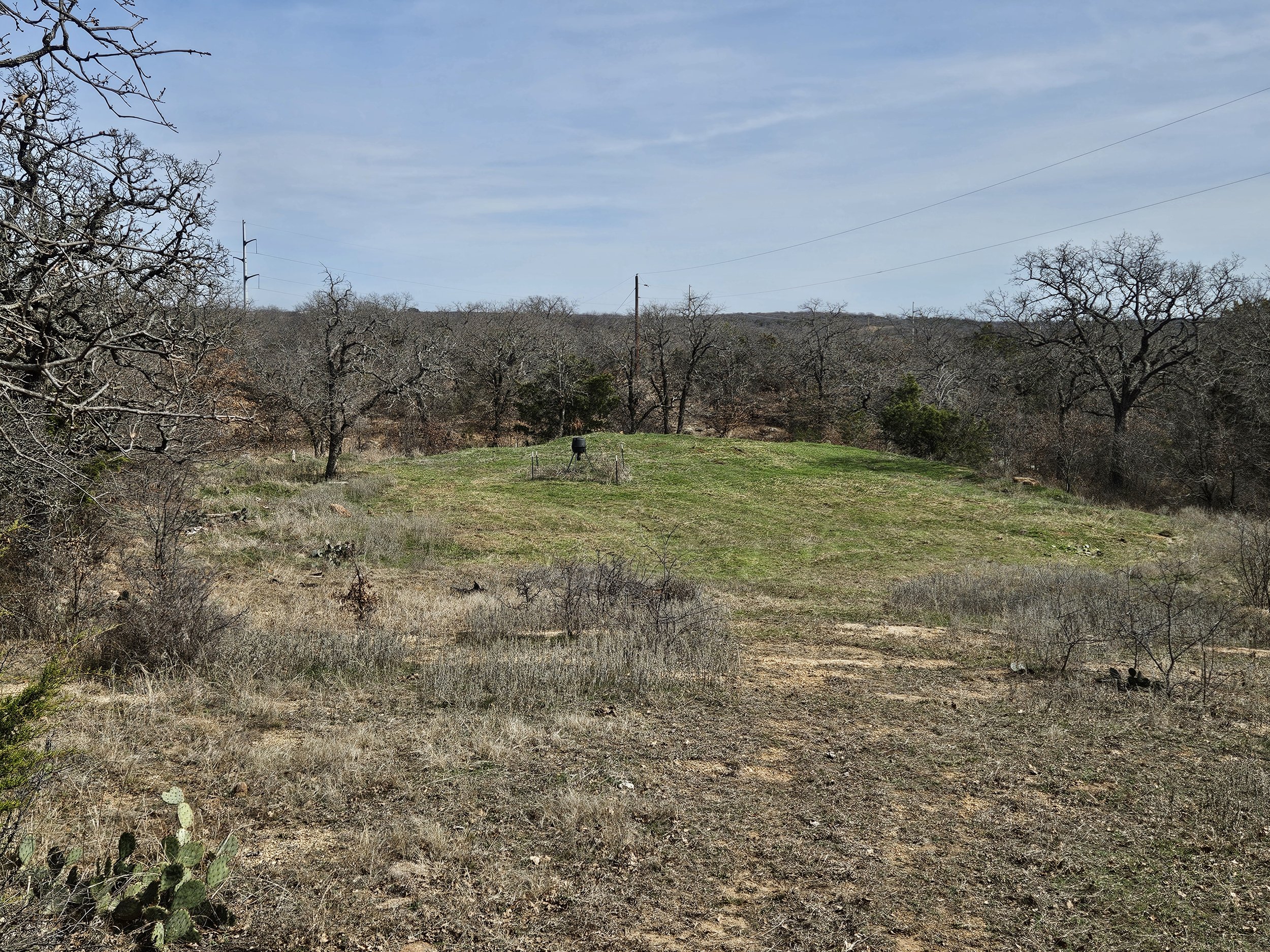deer feeder after pic 3.9.26.jpg