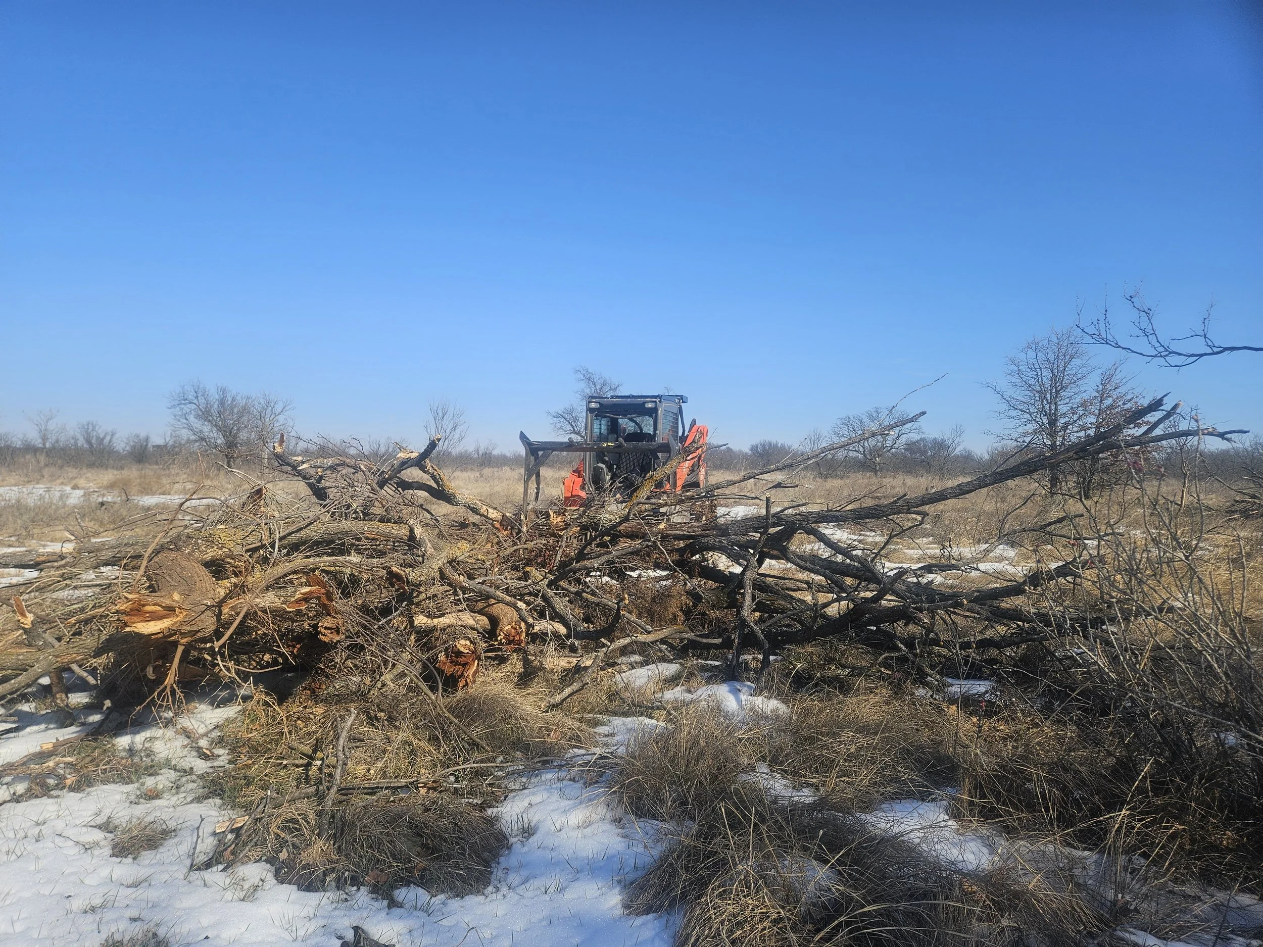 Brush Pile Snow Pre Pic.jpg