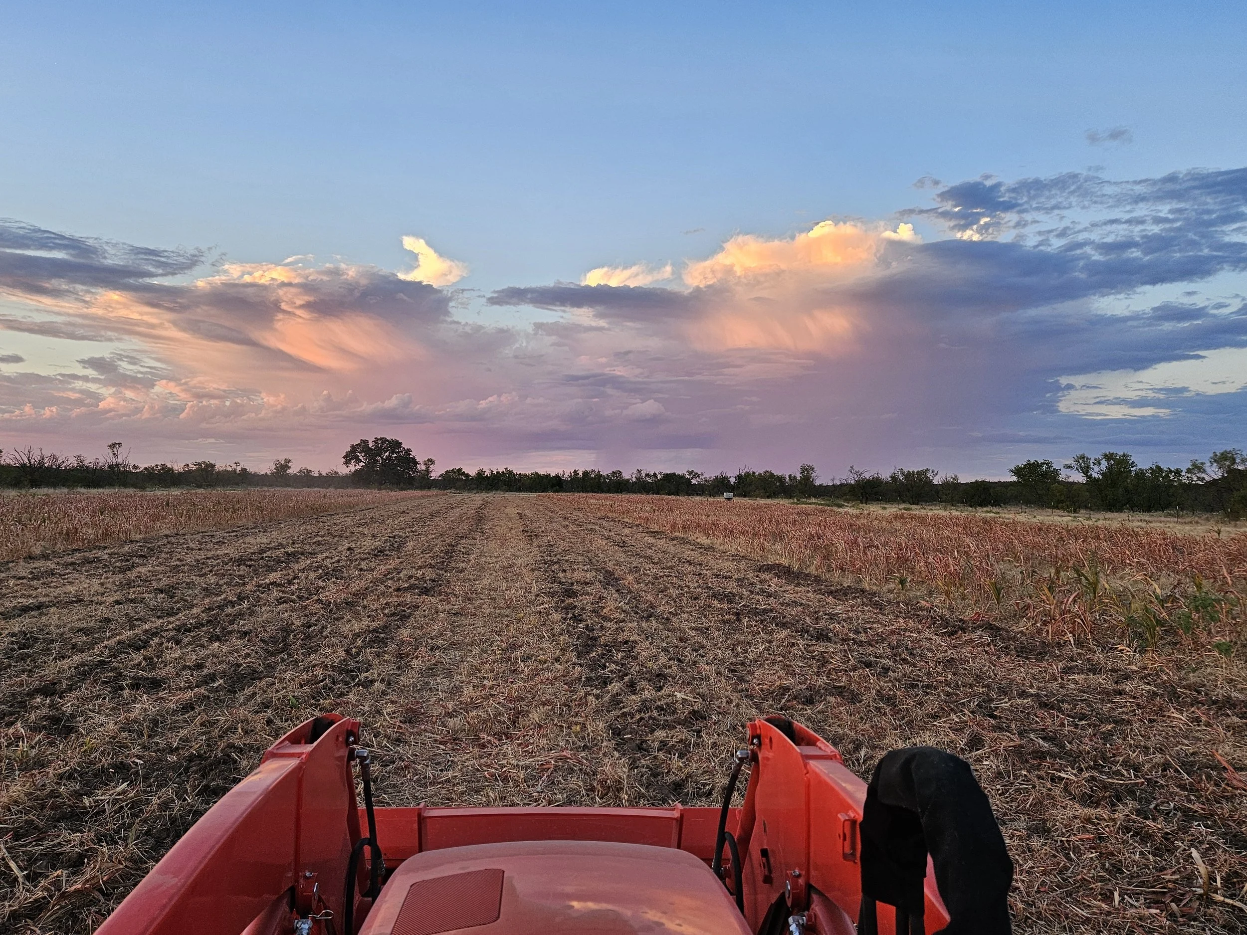 Tilling Milo Plot.jpg