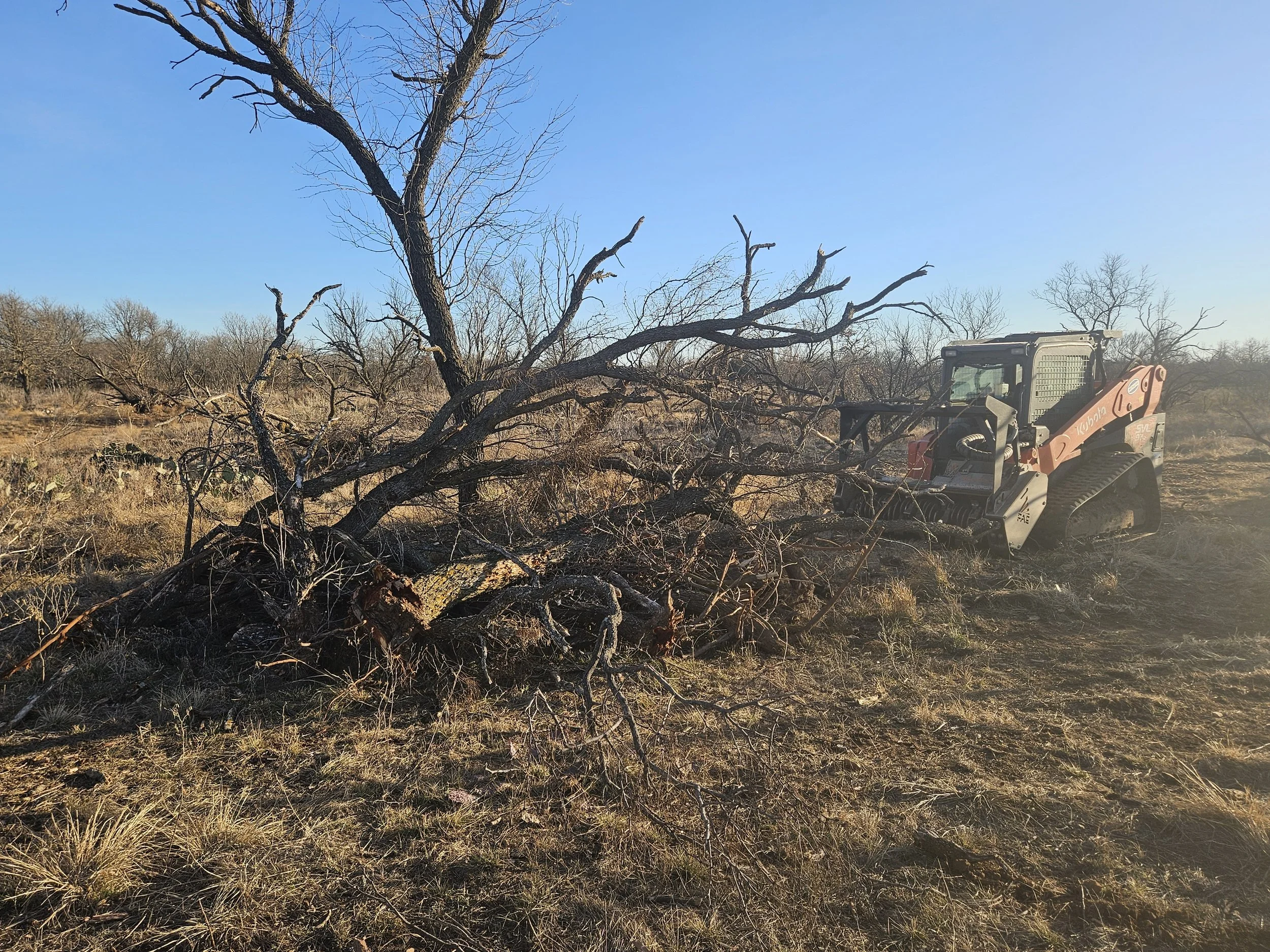 Brush Pile 10 Pre Pic .jpg
