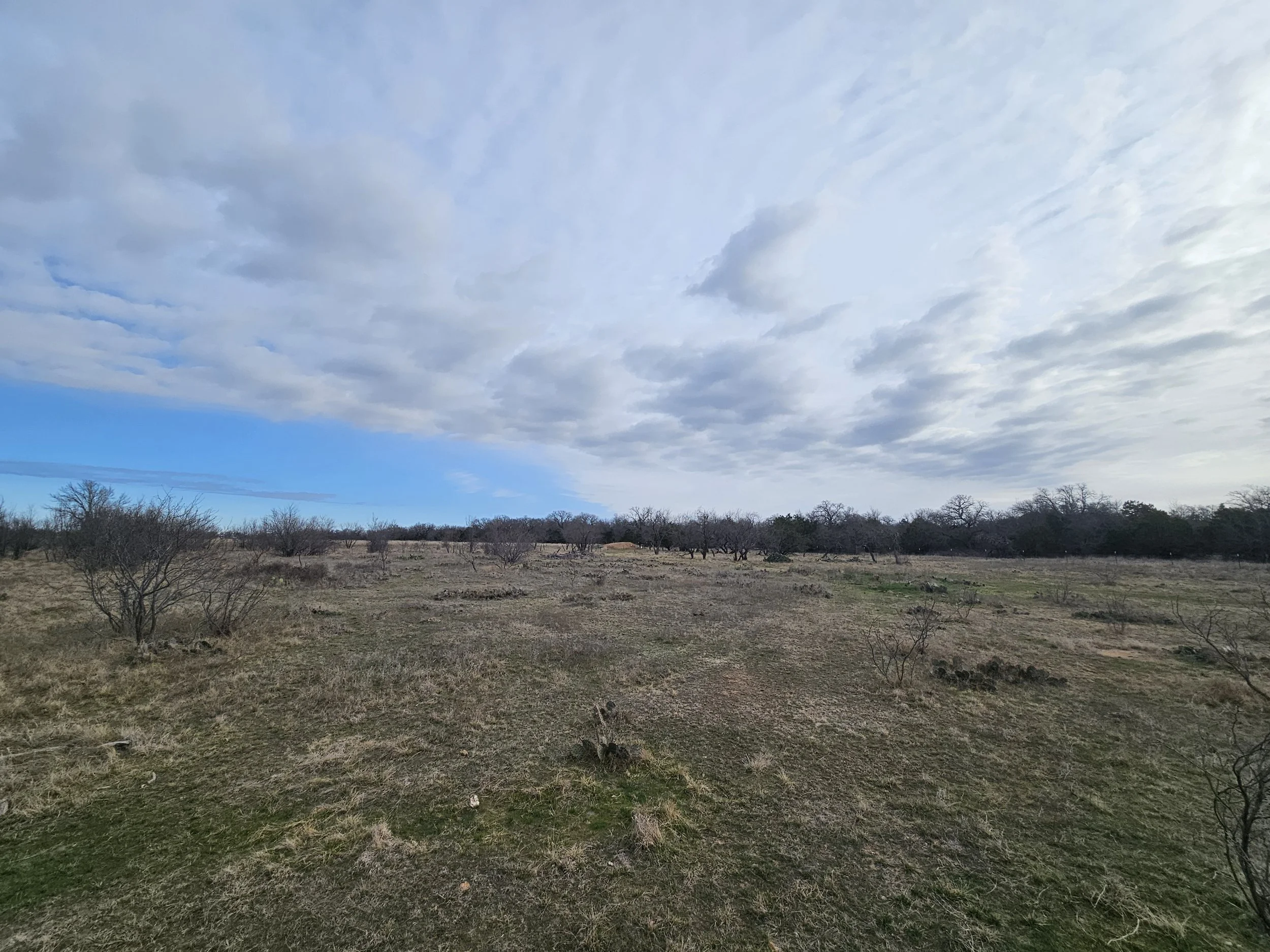 food plot pre mulching pic 3.9.26.jpg