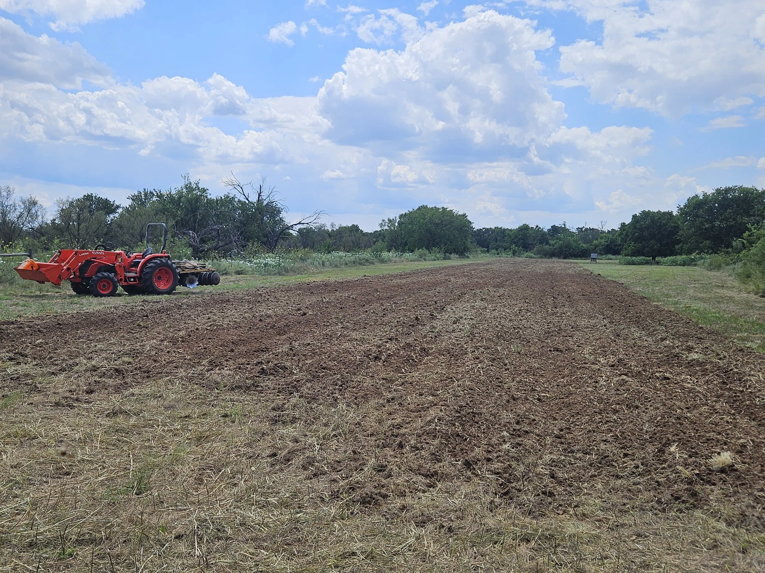 NE food plot tractor post disc pic.jpg