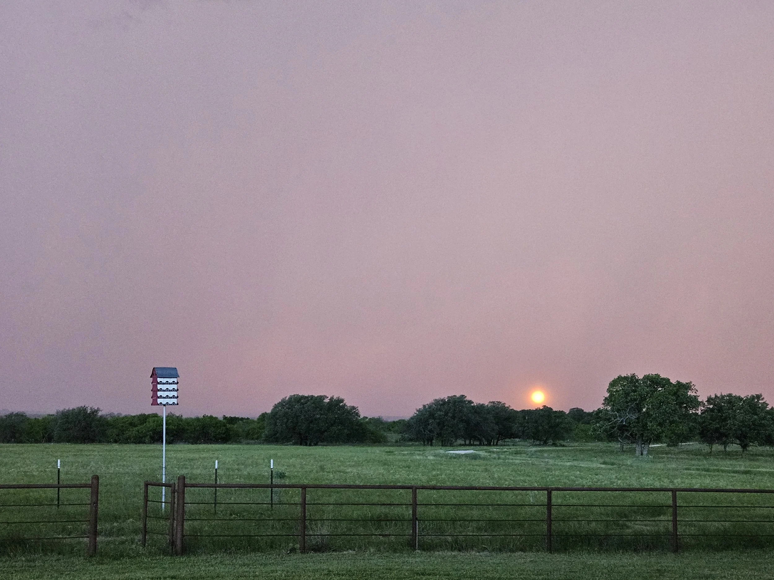 sunset bird house pasture.jpg