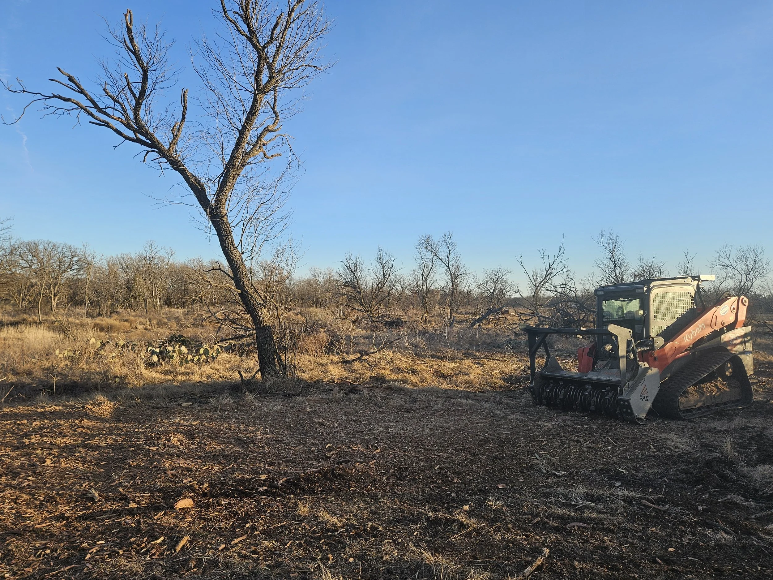 Brush Pile 10 Post Pic.jpg