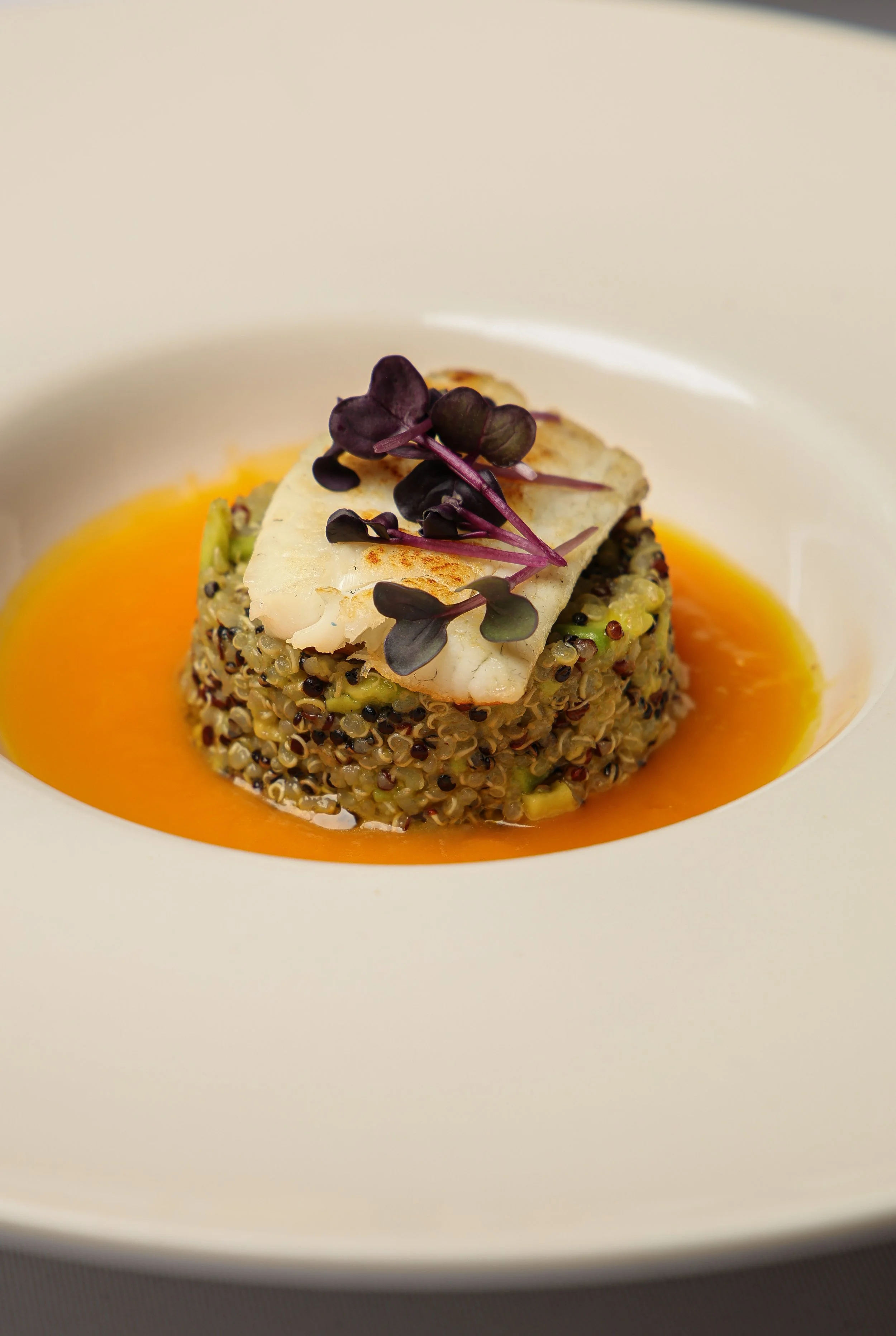 Insifa 25 01 27-20.jpg