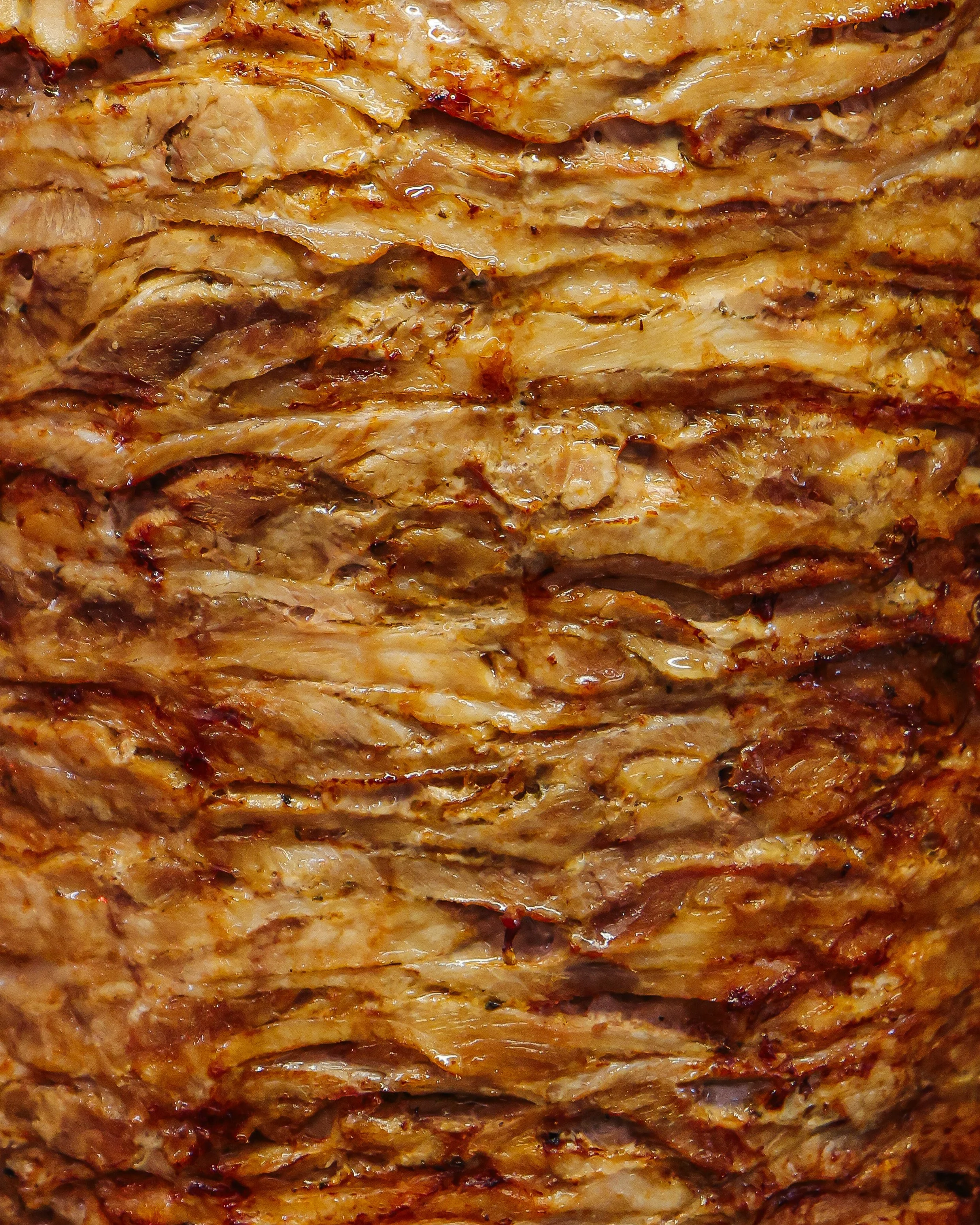 001Ola fast 03  25.jpg