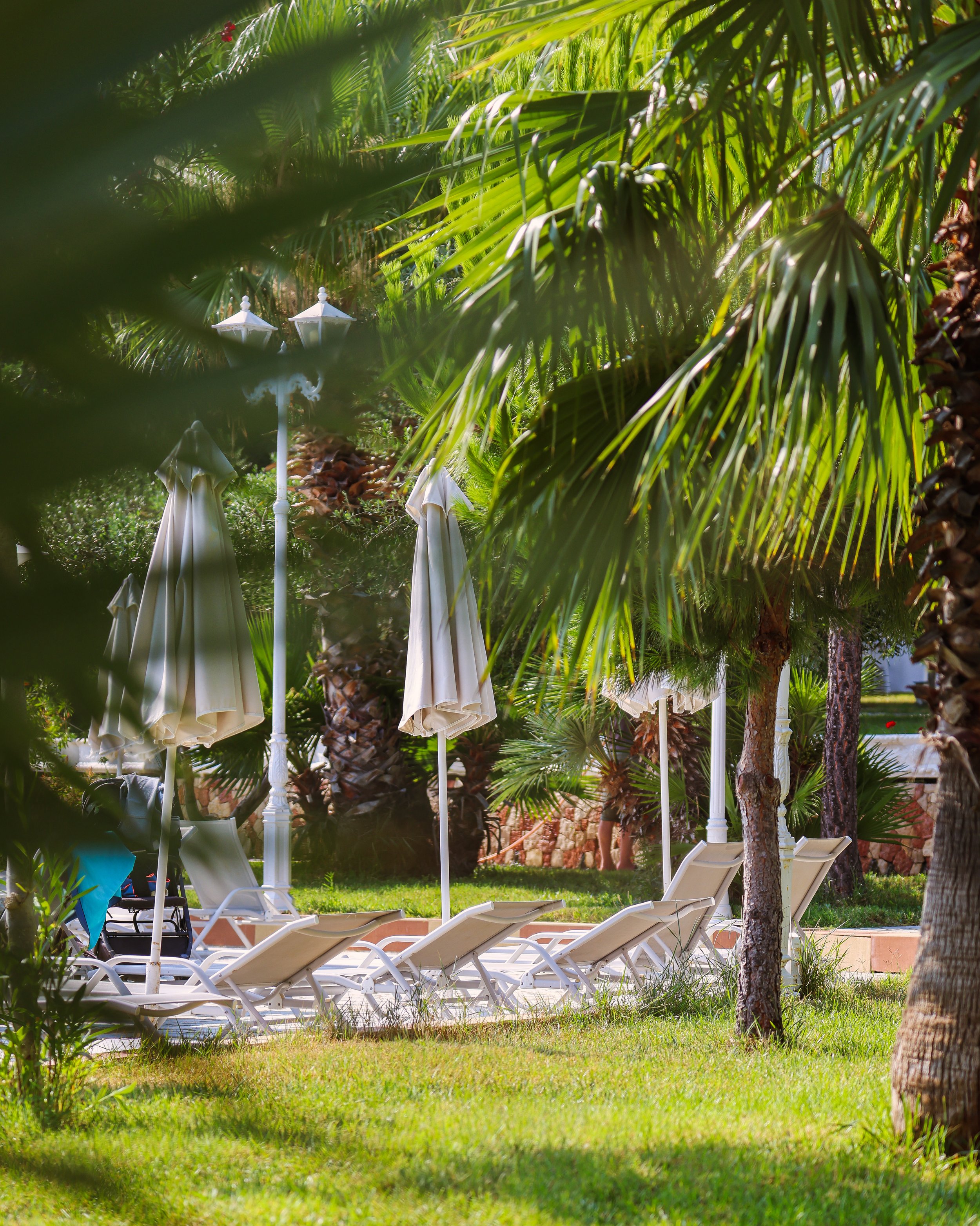 Inheritor 29 07 25 v2-2.jpg