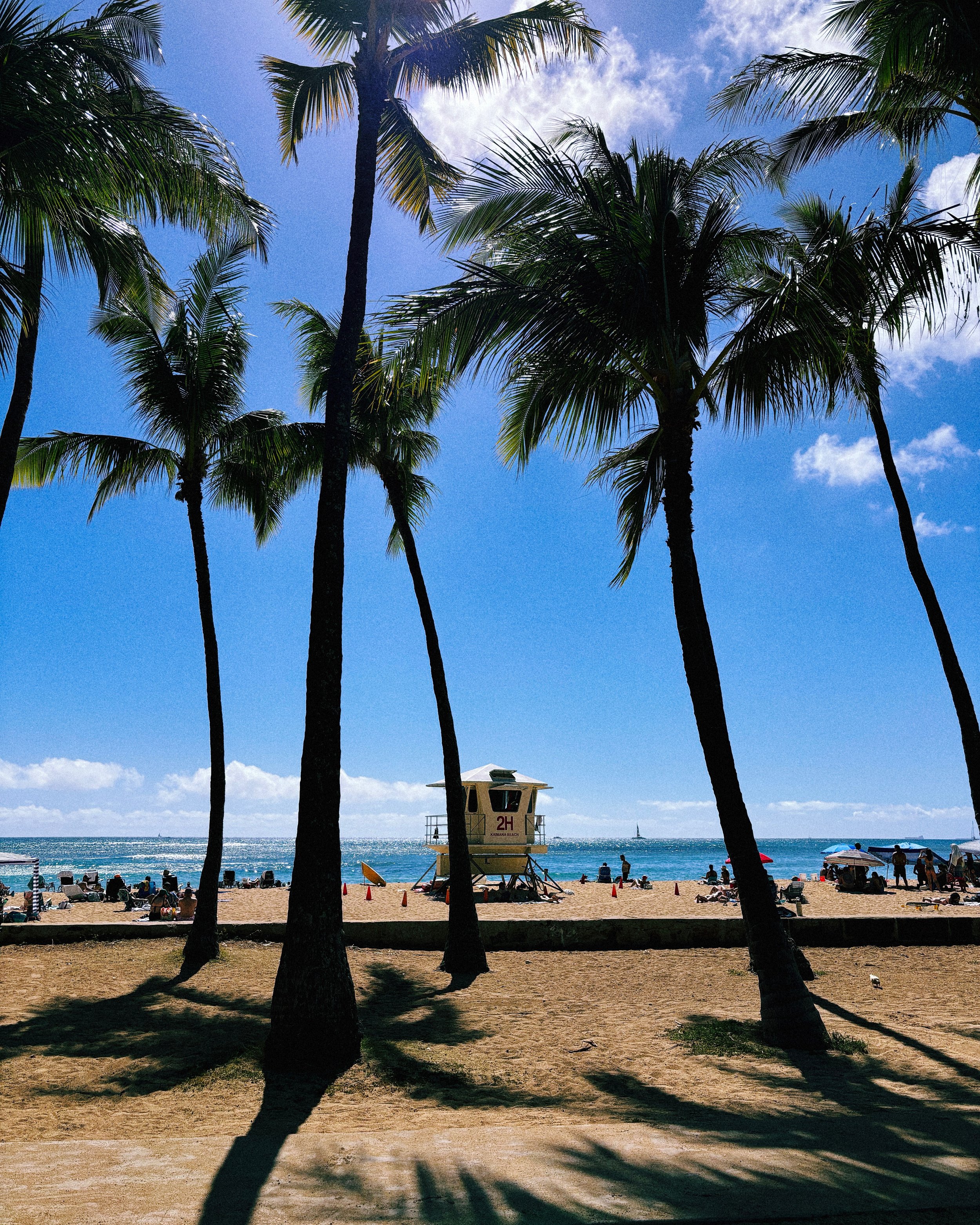 Honolulu, HI - Aug '24