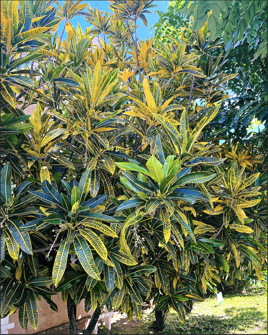 Honolulu, HI - Sep '24