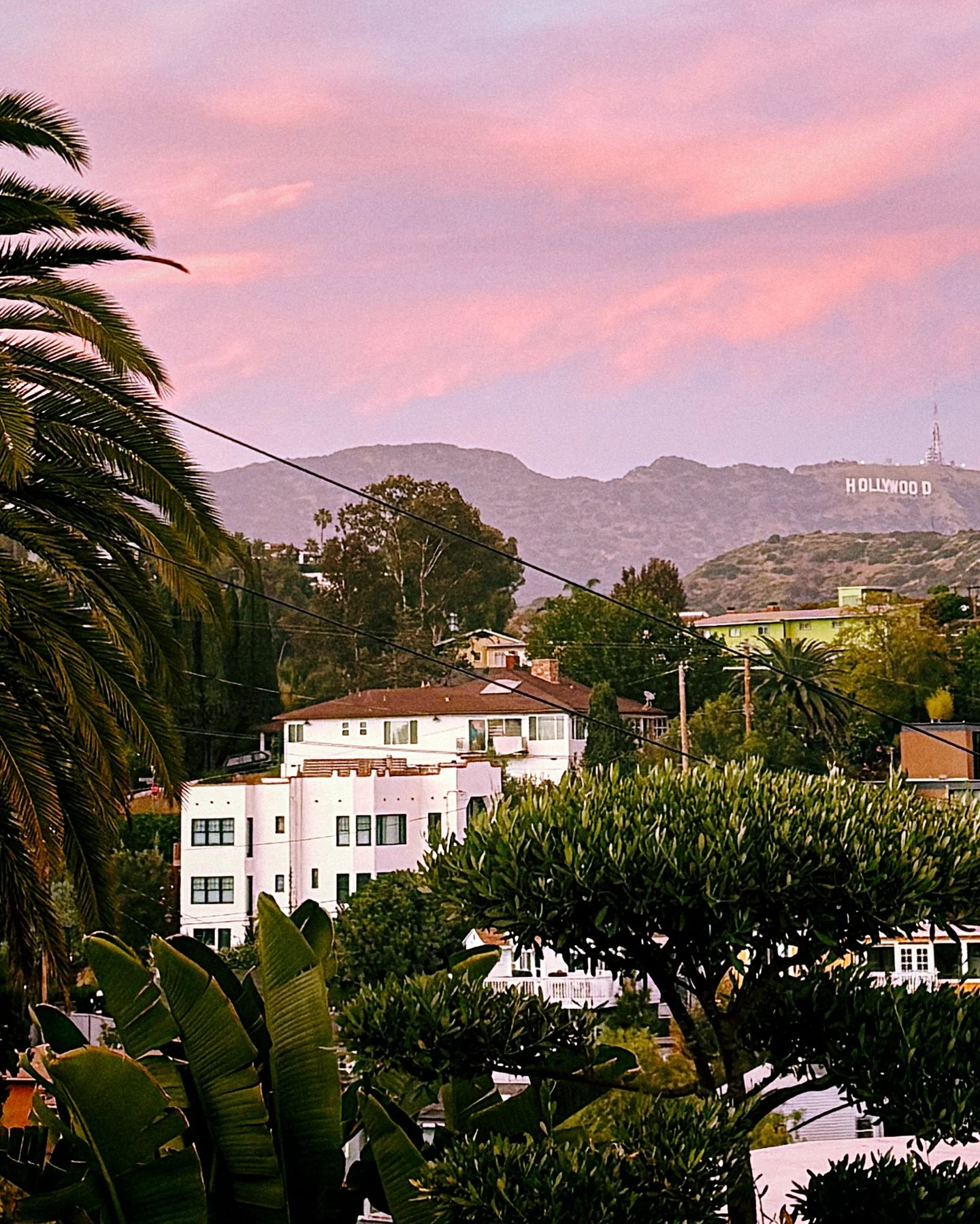 💕🌴💓pink skies in hollywood💓🌴💕

#hollywoodhills #laphotography #yamashirohollywood #pinkskies #pinkclouds