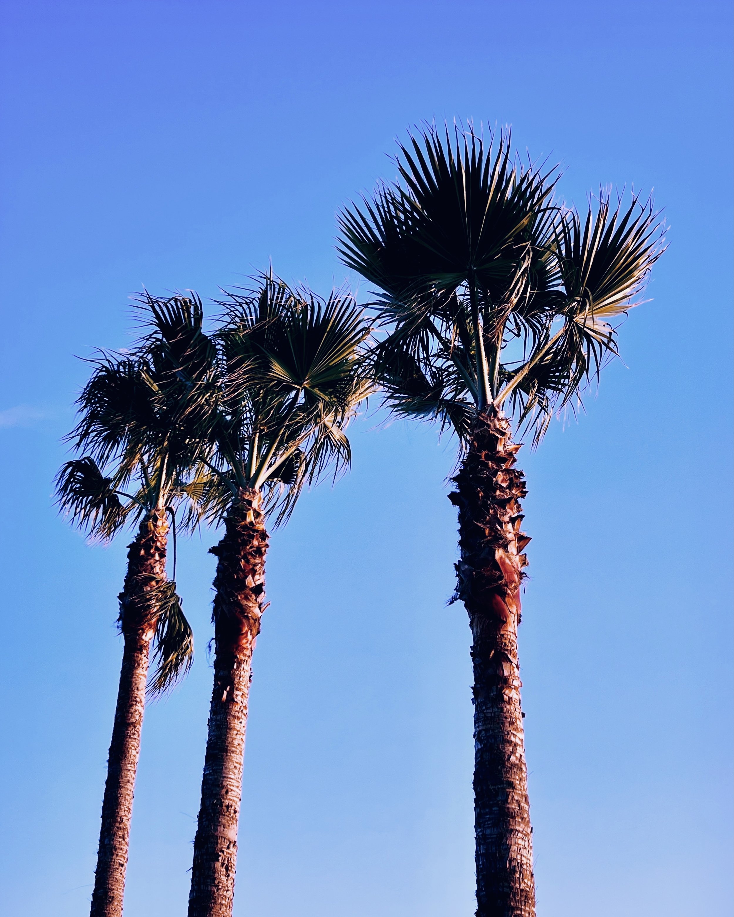 Laguna, CA - Feb '24