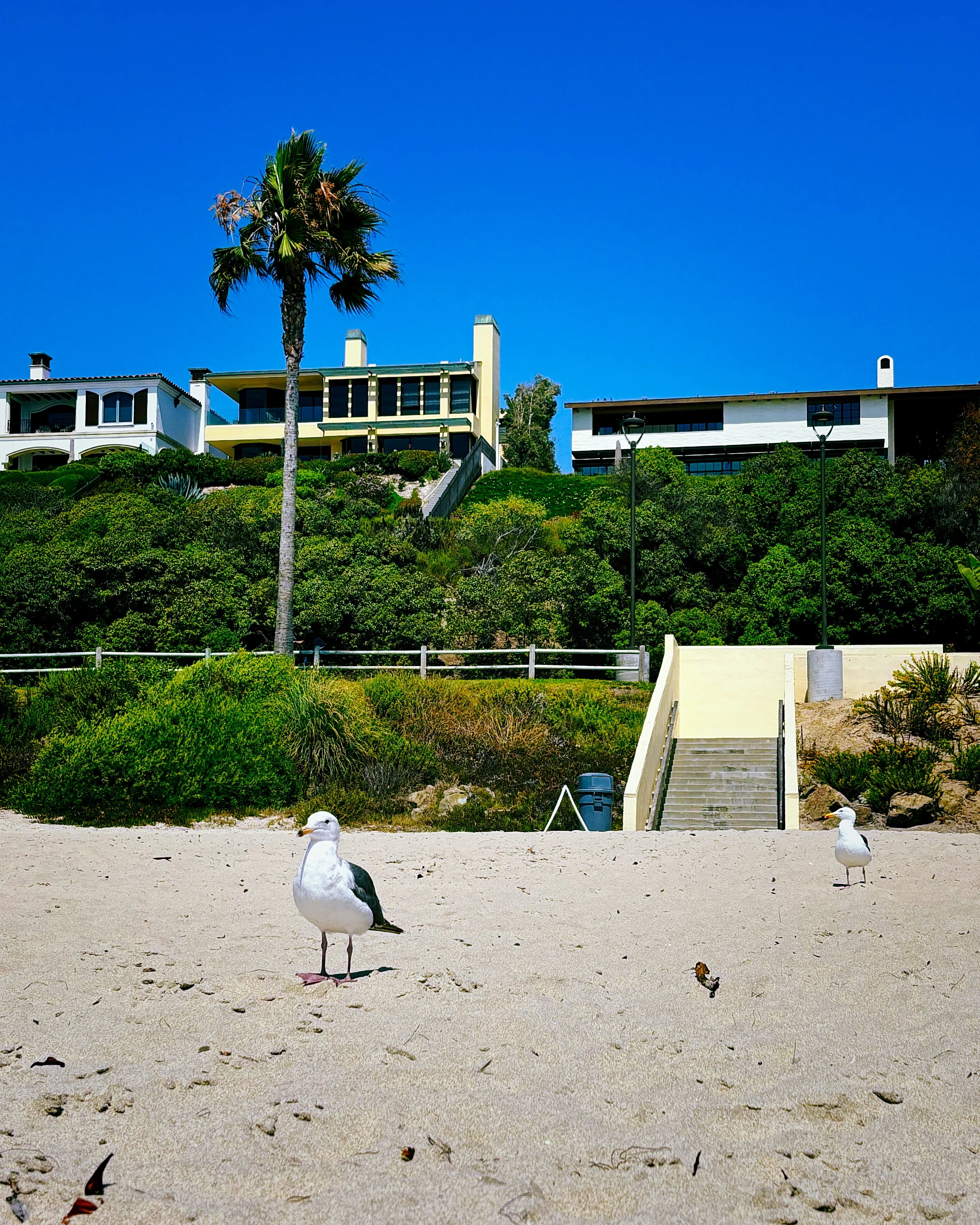 Dana Point, CA - July '24
