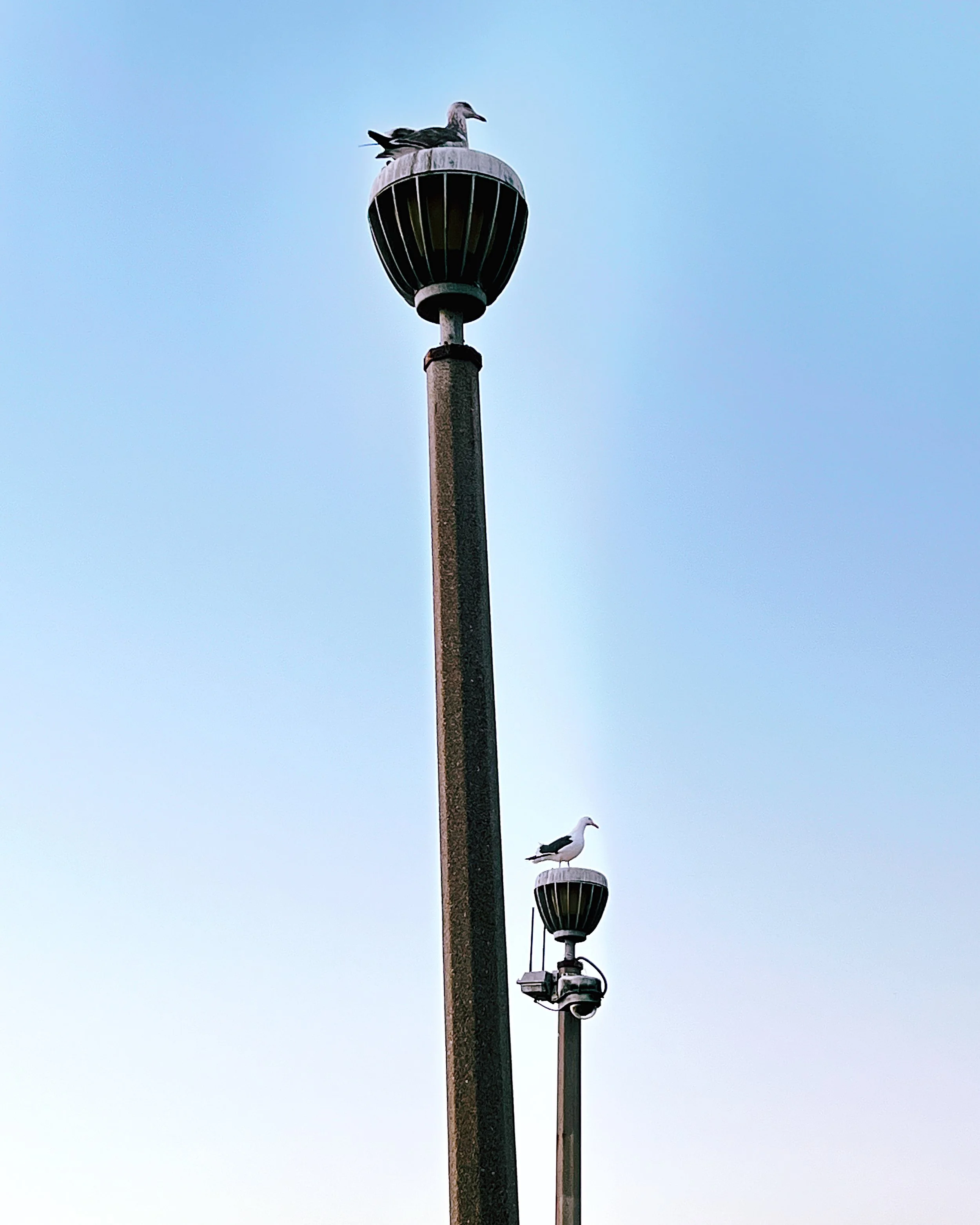 Laguna, CA - Dec '23
