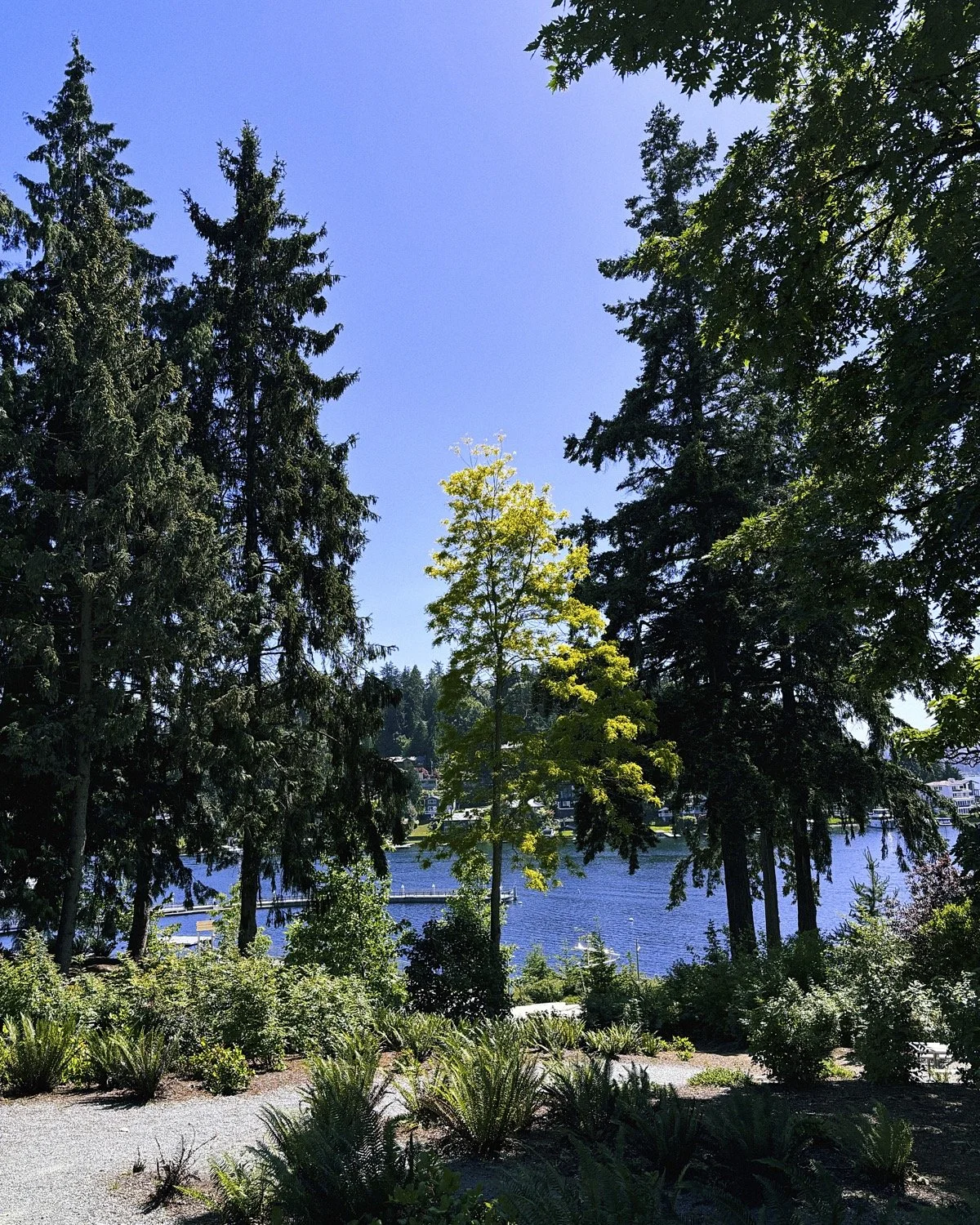 Bellevue, WA - June '24