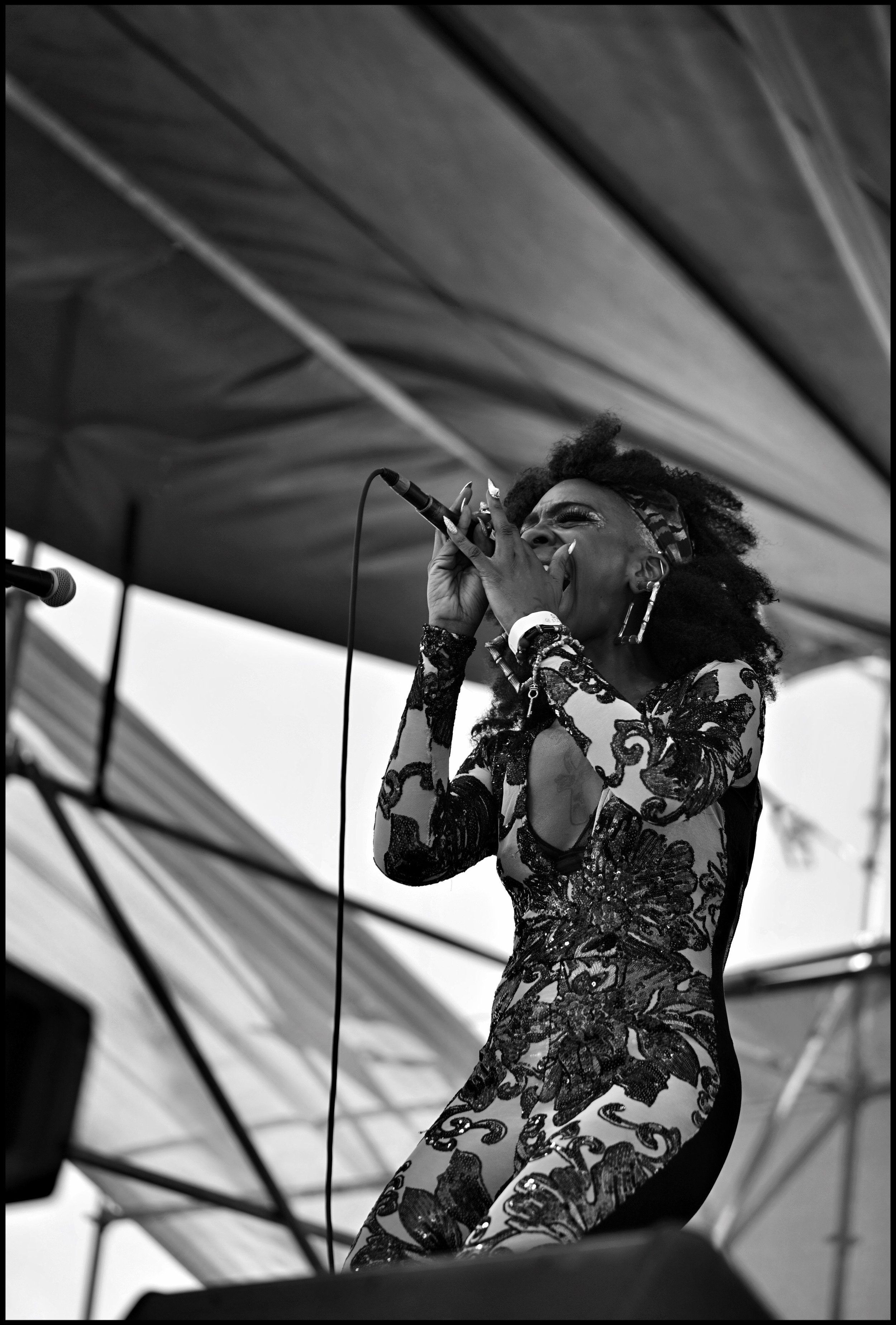 Cole Williams - French Quarter Festival.jpeg