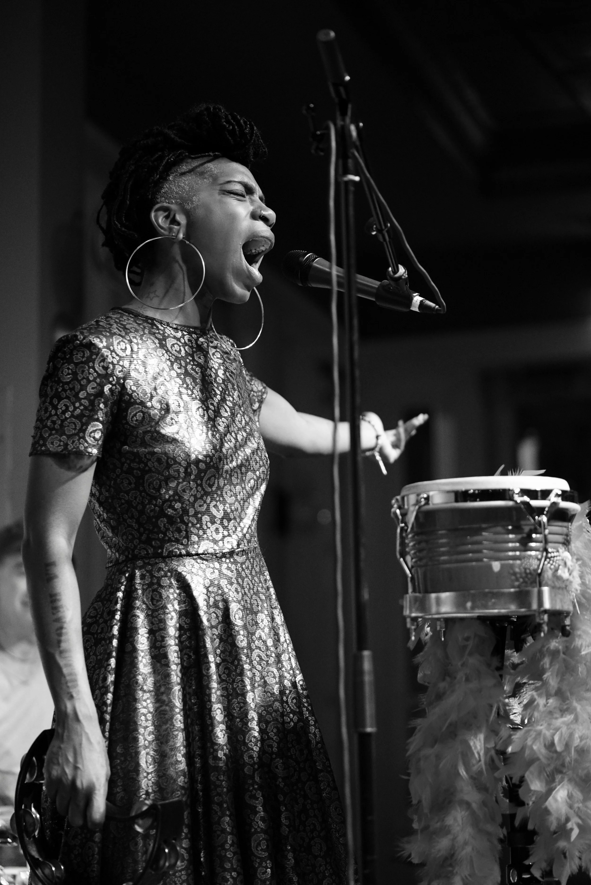 Cole Williams Performas at Little Gem Saloon.jpeg