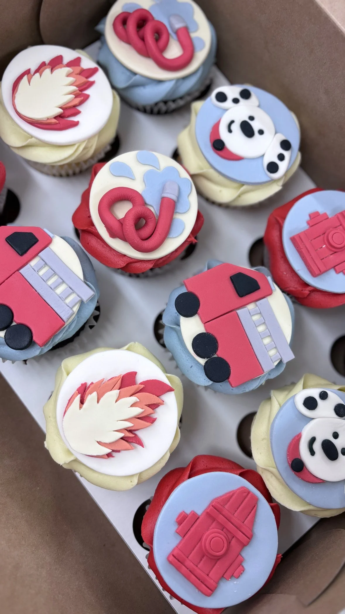 Cupcakes decorated with doctor and medical-themed fondant toppers, including a stethoscope, ambulance, camera, and a happy cartoon dog.