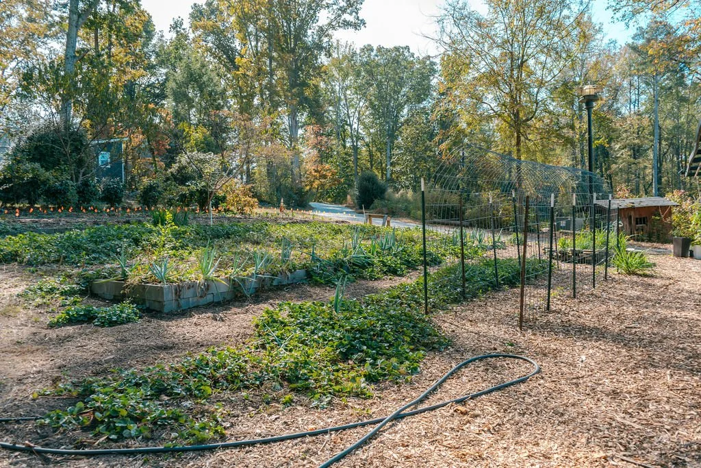 A farm with various plants, some protected by a wire fence, and a small shed in the background, surrounded by trees with autumn foliage.