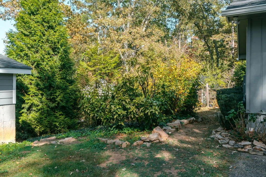 A backyard scene with a dirt path, surrounded by green bushes and trees, and parts of houses visible on the left and right sides.