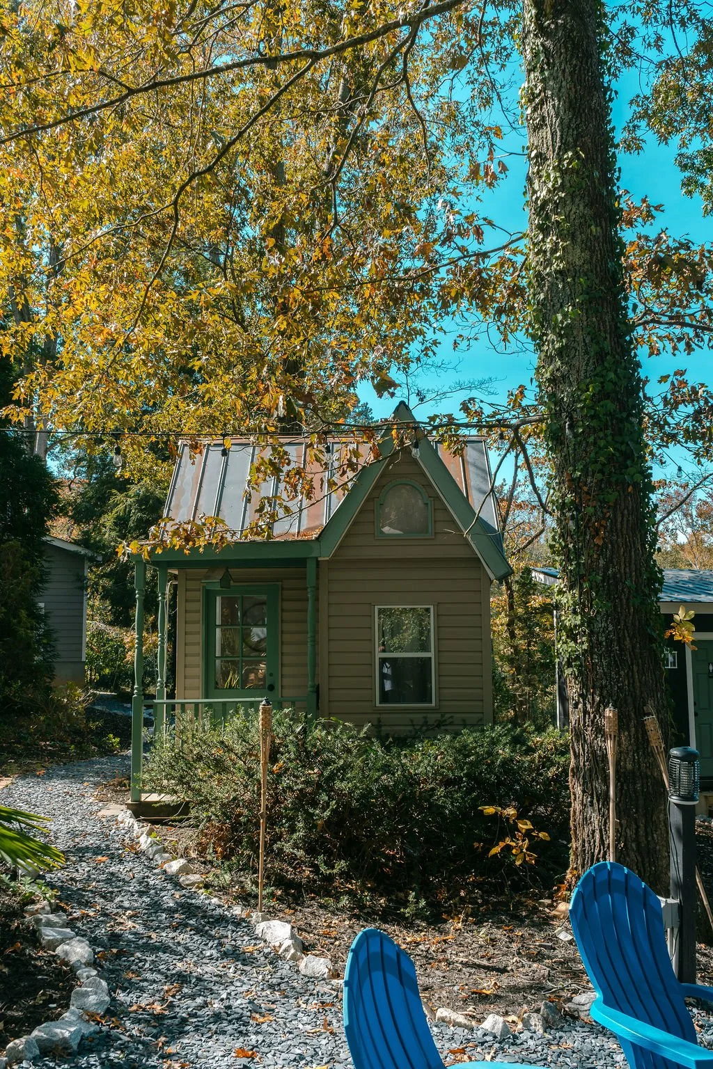 A small, vintage-style tiny house with a metal roof, surrounded by trees with autumn leaves. There are two blue Adirondack chairs in the foreground, a gravel pathway, and a large tree trunk with ivy growing on it on the right.