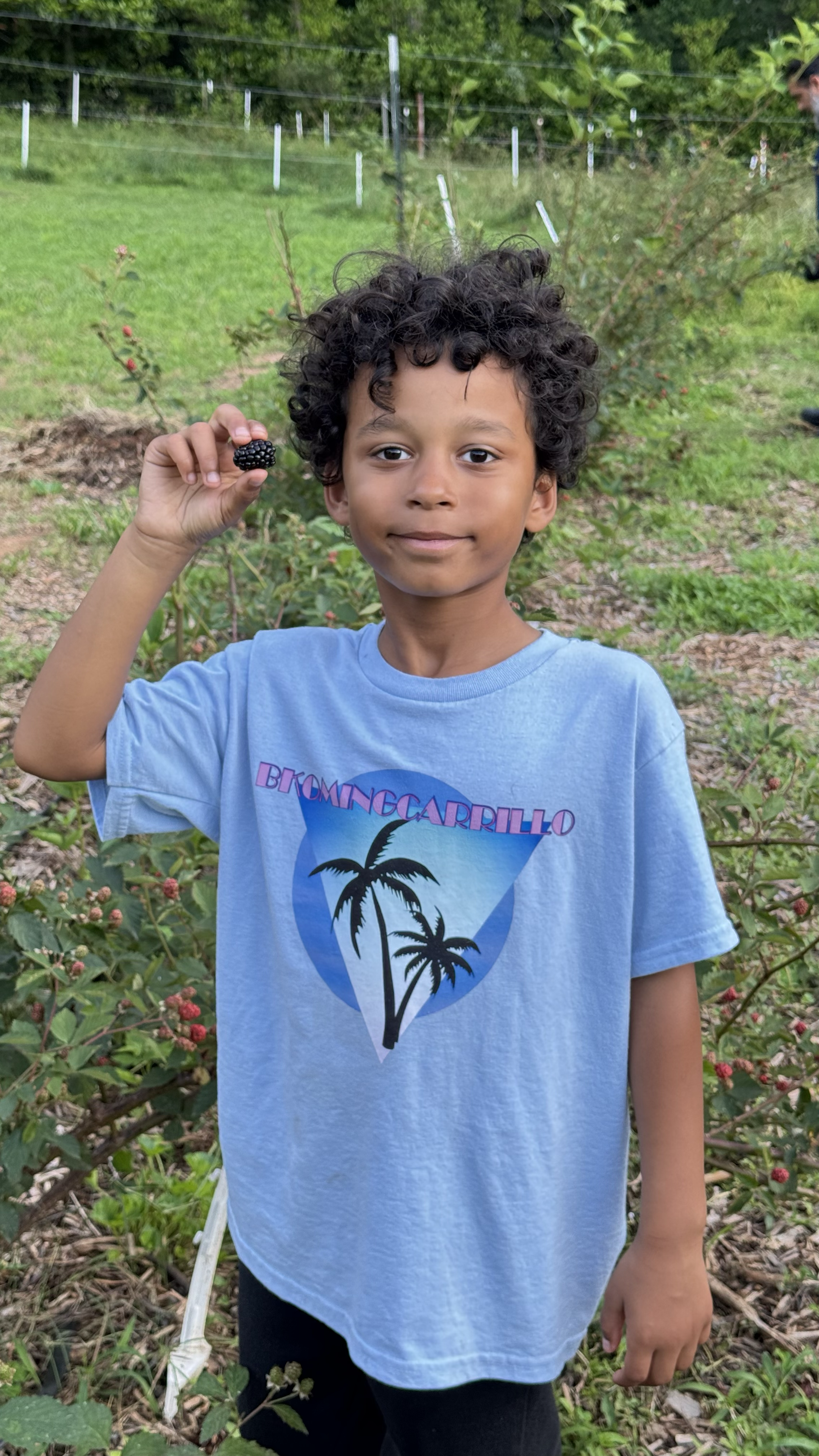 A young boy with curly hair holding a blackberry in his hand, standing outdoors in a garden with berry bushes.