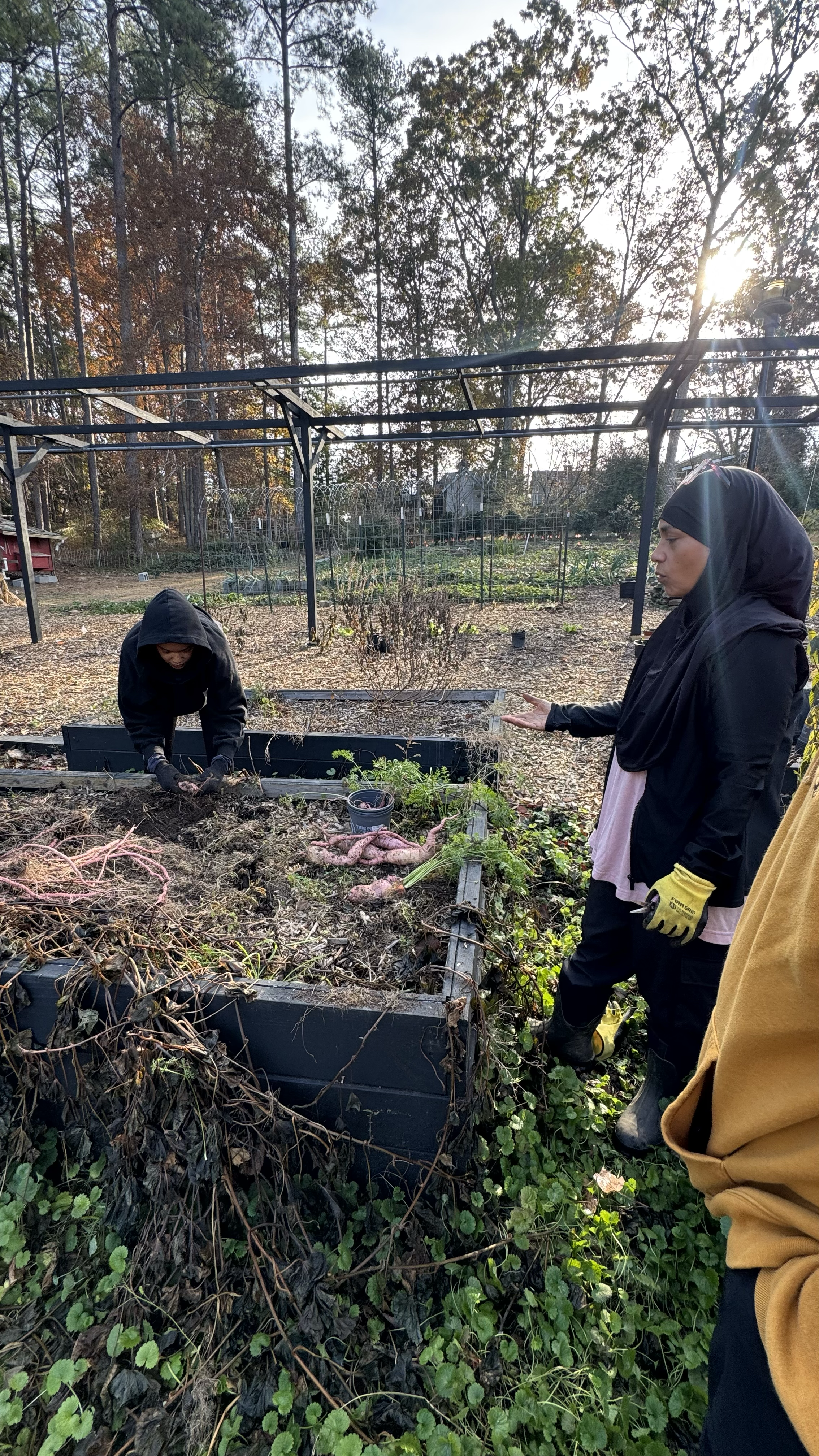 Two women working in a garden on a fall day, with one planting or inspecting soil and the other standing nearby wearing gloves and a headscarf.