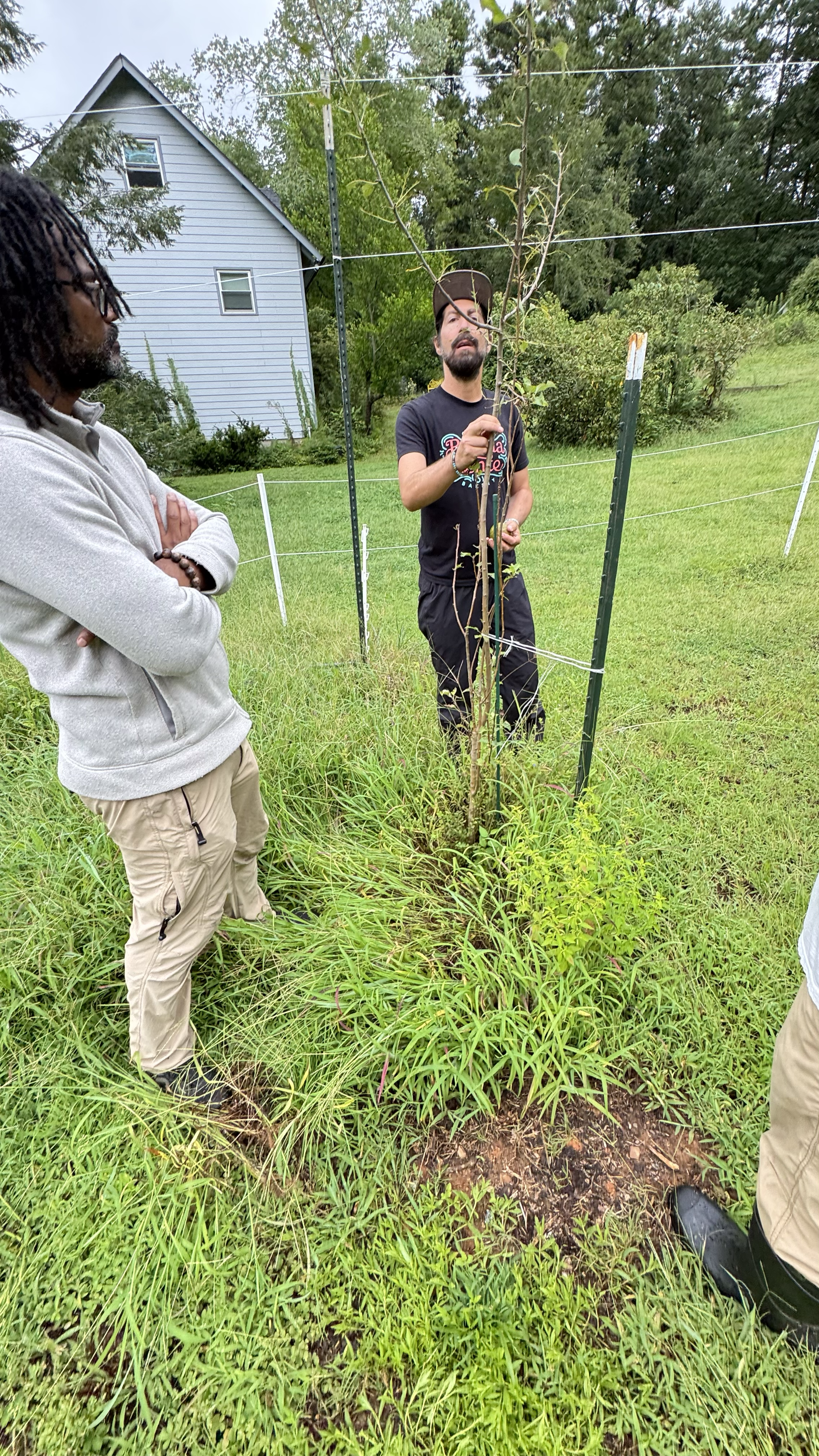 Two men standing near a newly planted small tree in a grassy area, with one man explaining or demonstrating something about the tree while the other man listens. The area is enclosed with a wire fence and there are trees and a house in the background