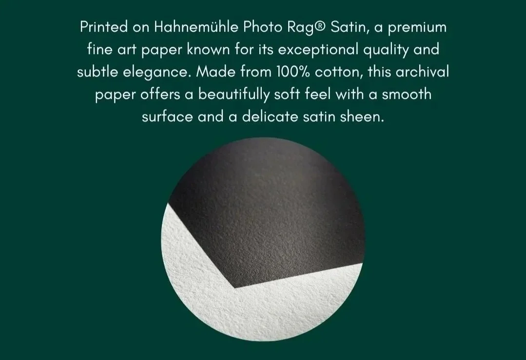 Brown%2Band%2BGreen%2BMinimalist%2BWall%2BFrame%2BMockup%2BInstagram%2BStory%2B%25287%2529.jpg