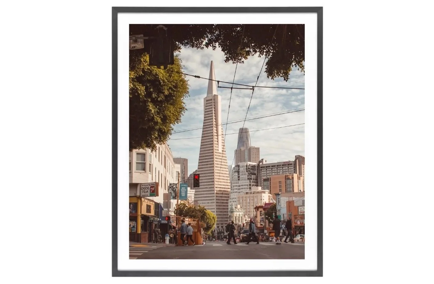Transamerica Pyramid framed with a tree