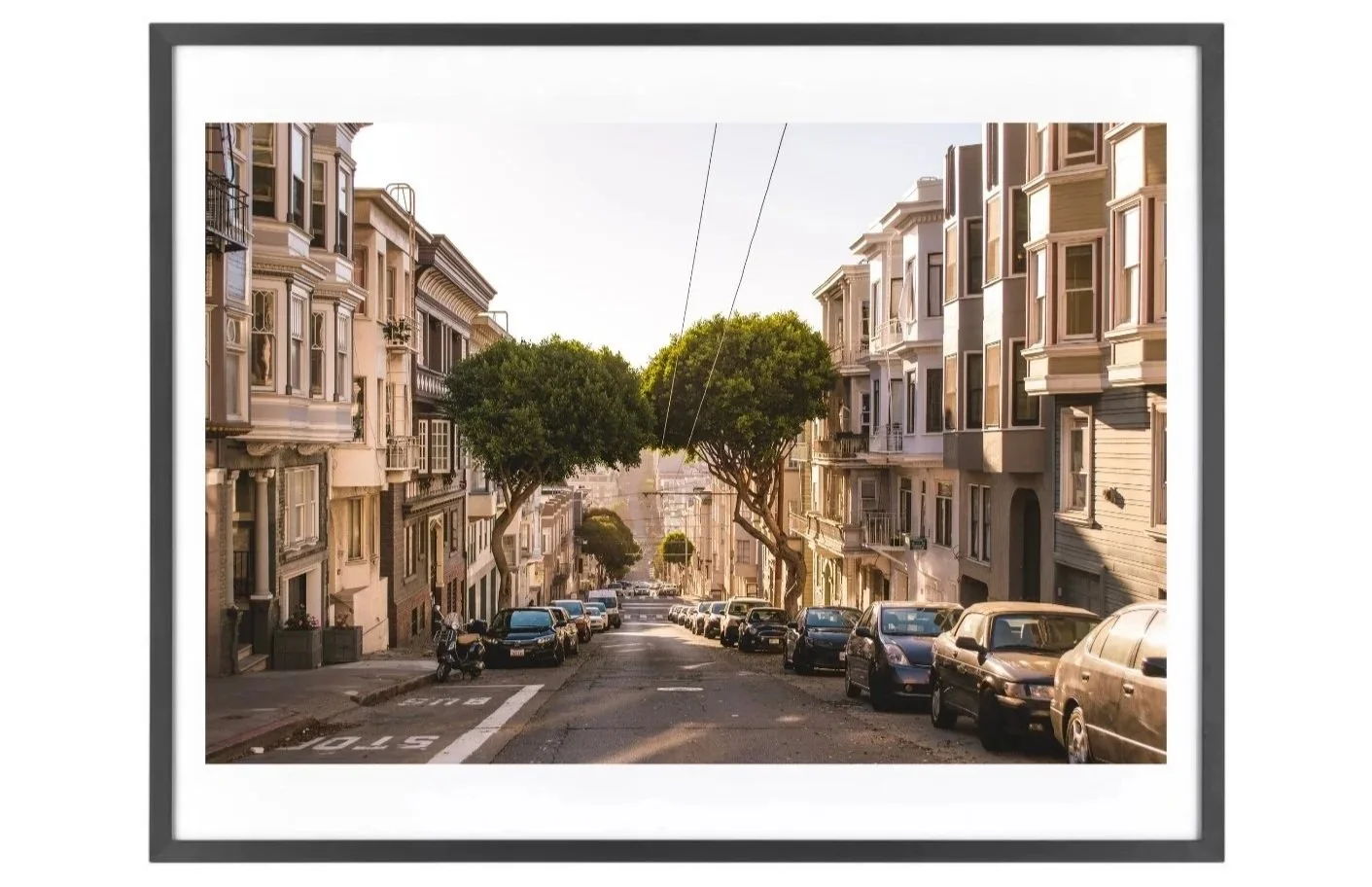 Vibrant photo of two trees touching crowns over a steep Russian Hill street in warm sunlight.