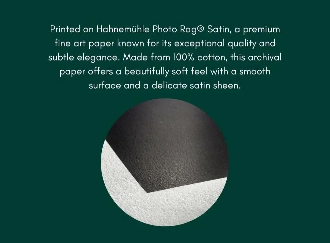 Brown%2Band%2BGreen%2BMinimalist%2BWall%2BFrame%2BMockup%2BInstagram%2BStory%2B%25287%2529.jpg