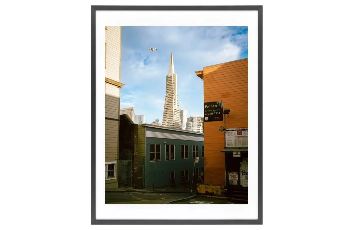 North Beach Alley San Francisco Transamerica Pyramid Bird Print