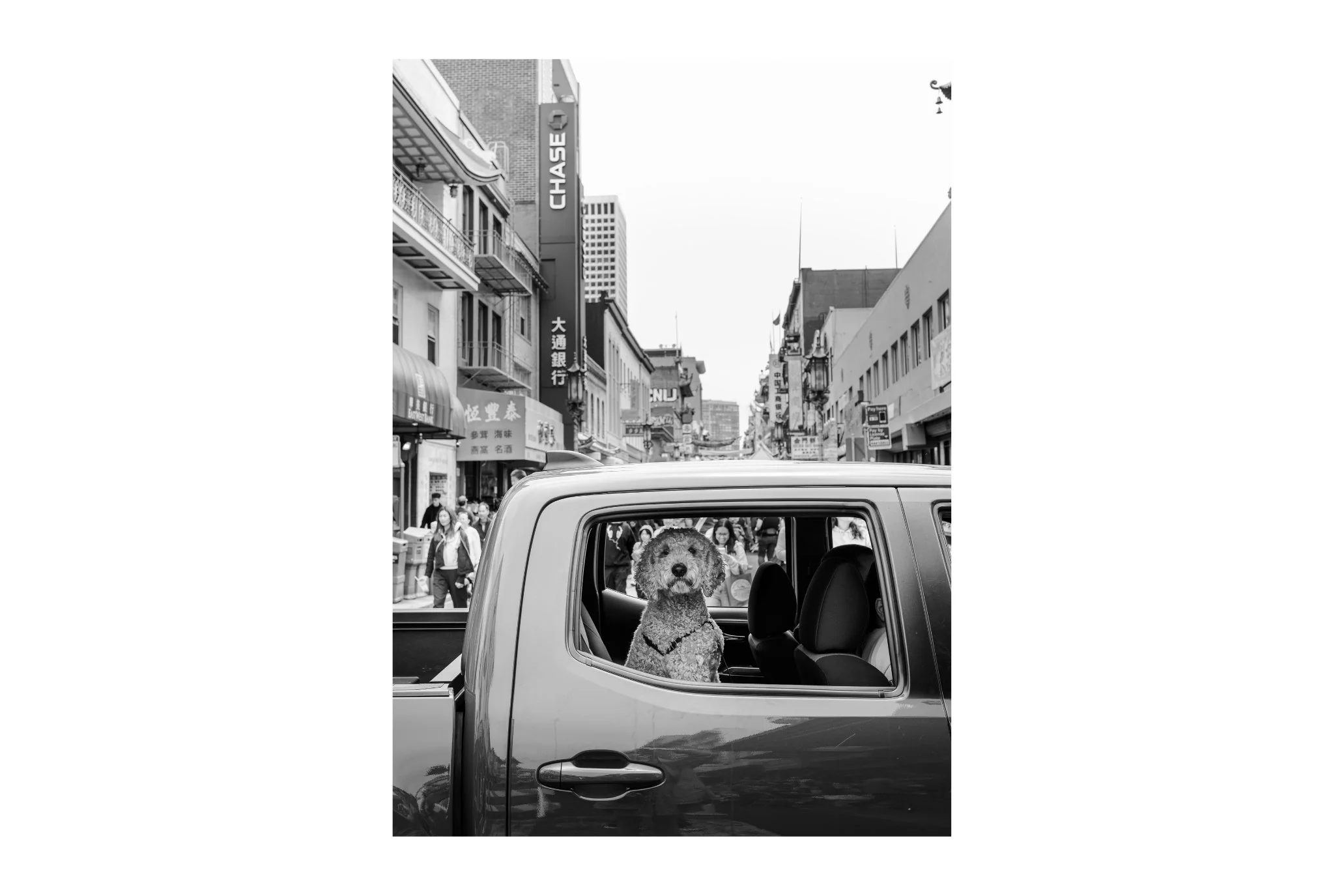 Store Squarespace (2).jpg