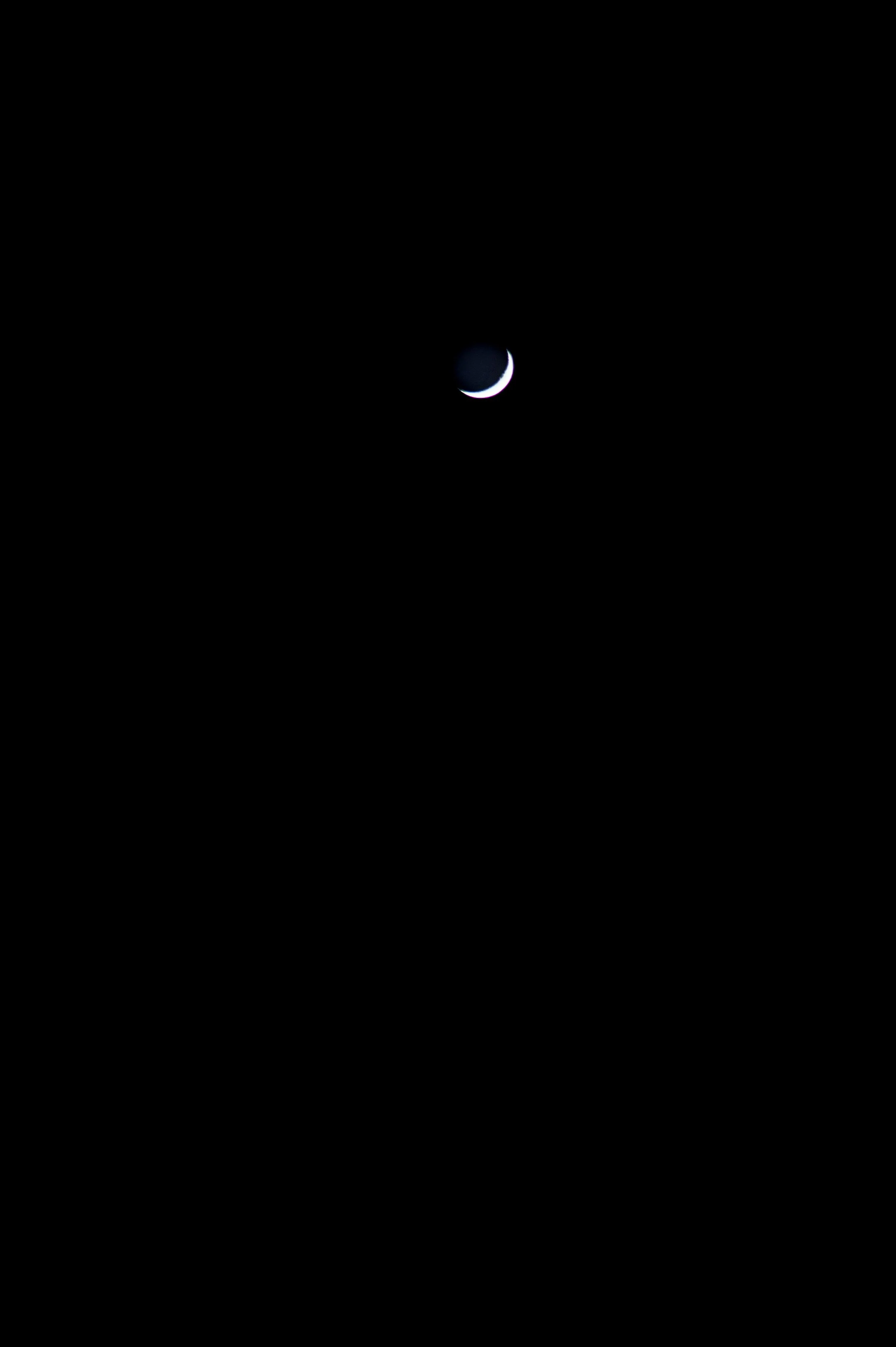 pexels-photo-11731679.jpeg