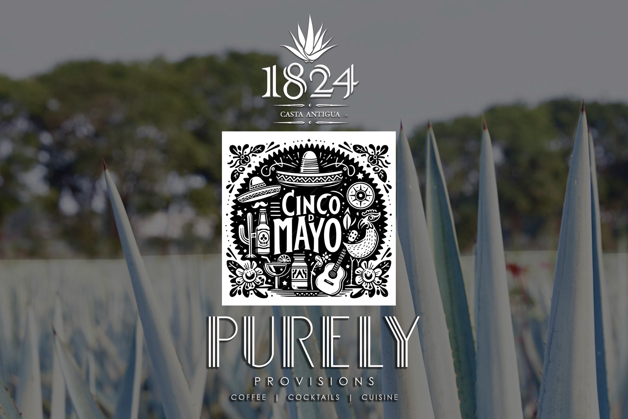 Cinco de Mayo Celebration