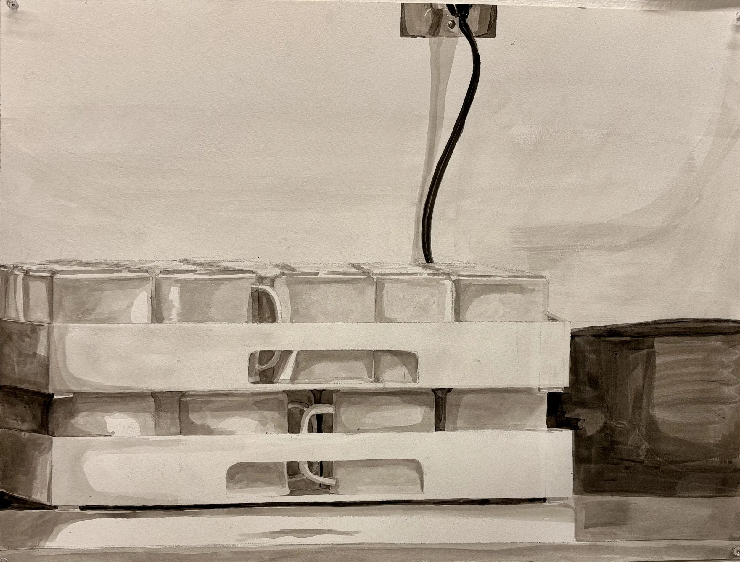 Ink on paper 
12x24''
2025