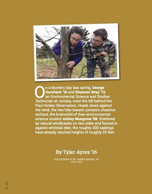 Two people on a hike, looking at a tree in a wooded outdoor area, with fallen leaves and overcast sky. Feature article news writing reporting creative writing.