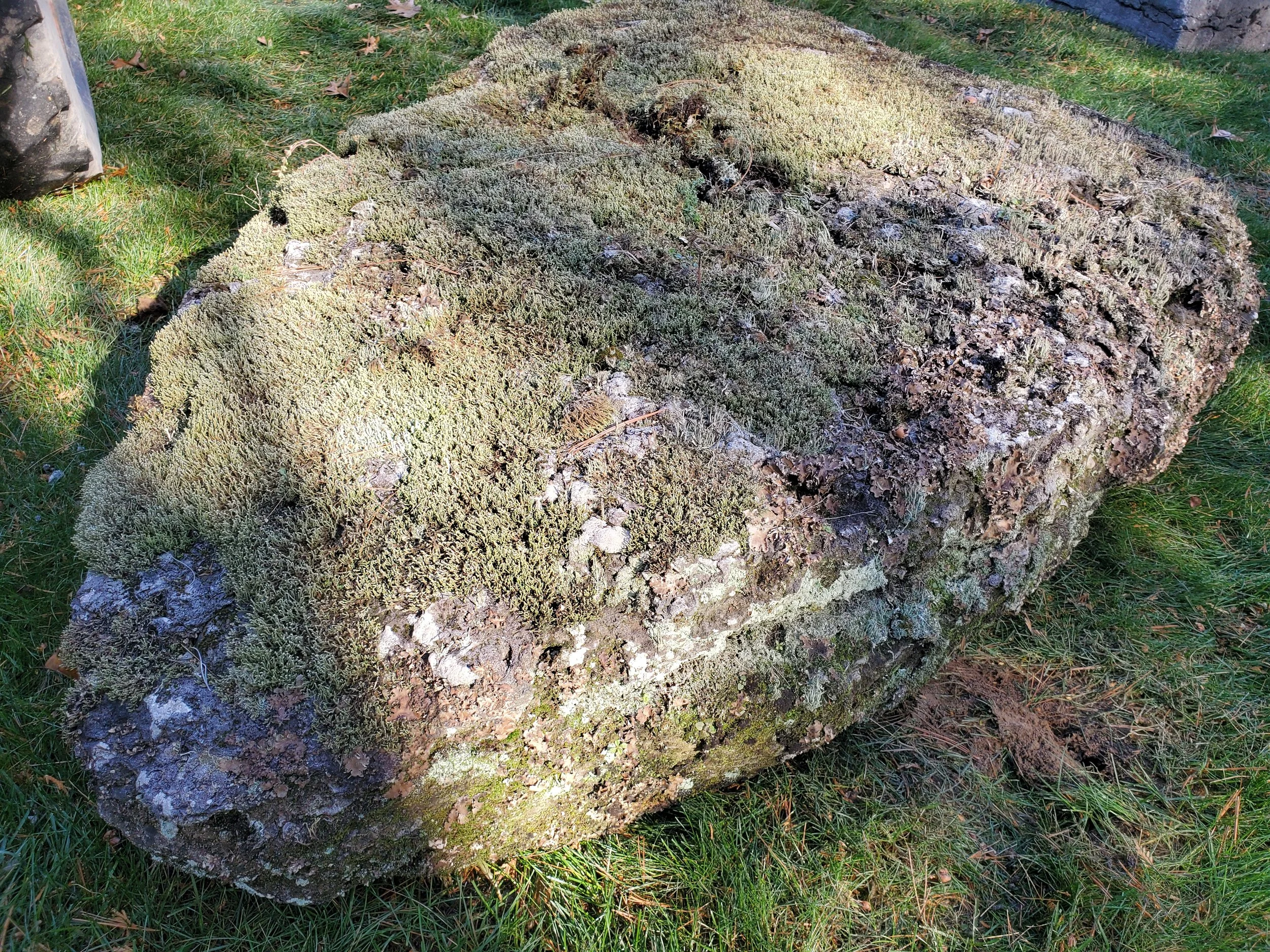 A large ancient stone on the grass, covered with moss and lichen.