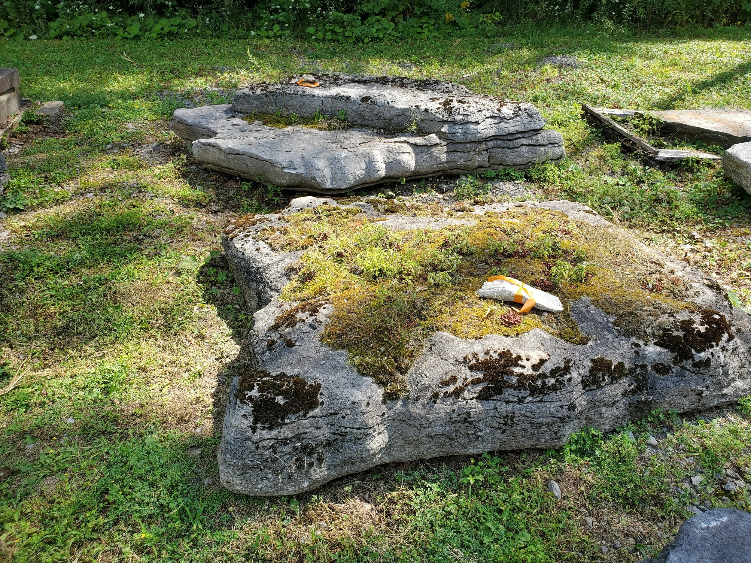 Several large, flat rocks and boulders covered in moss and surrounded by grass and small plants in an outdoor setting.