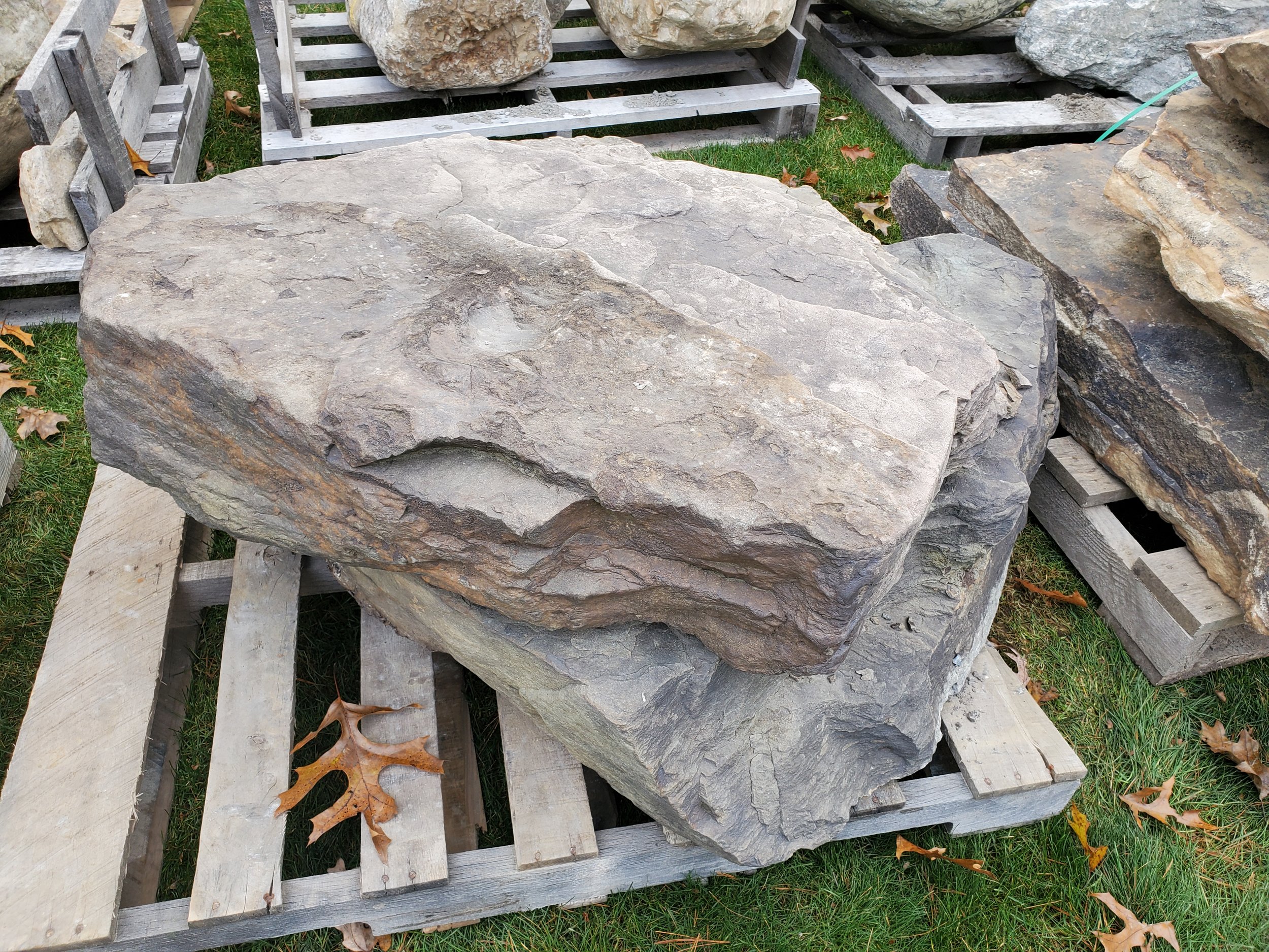 Large gray and brown irregular-shaped natural stone resting on a wooden pallet outdoors, with grass and fallen leaves around.