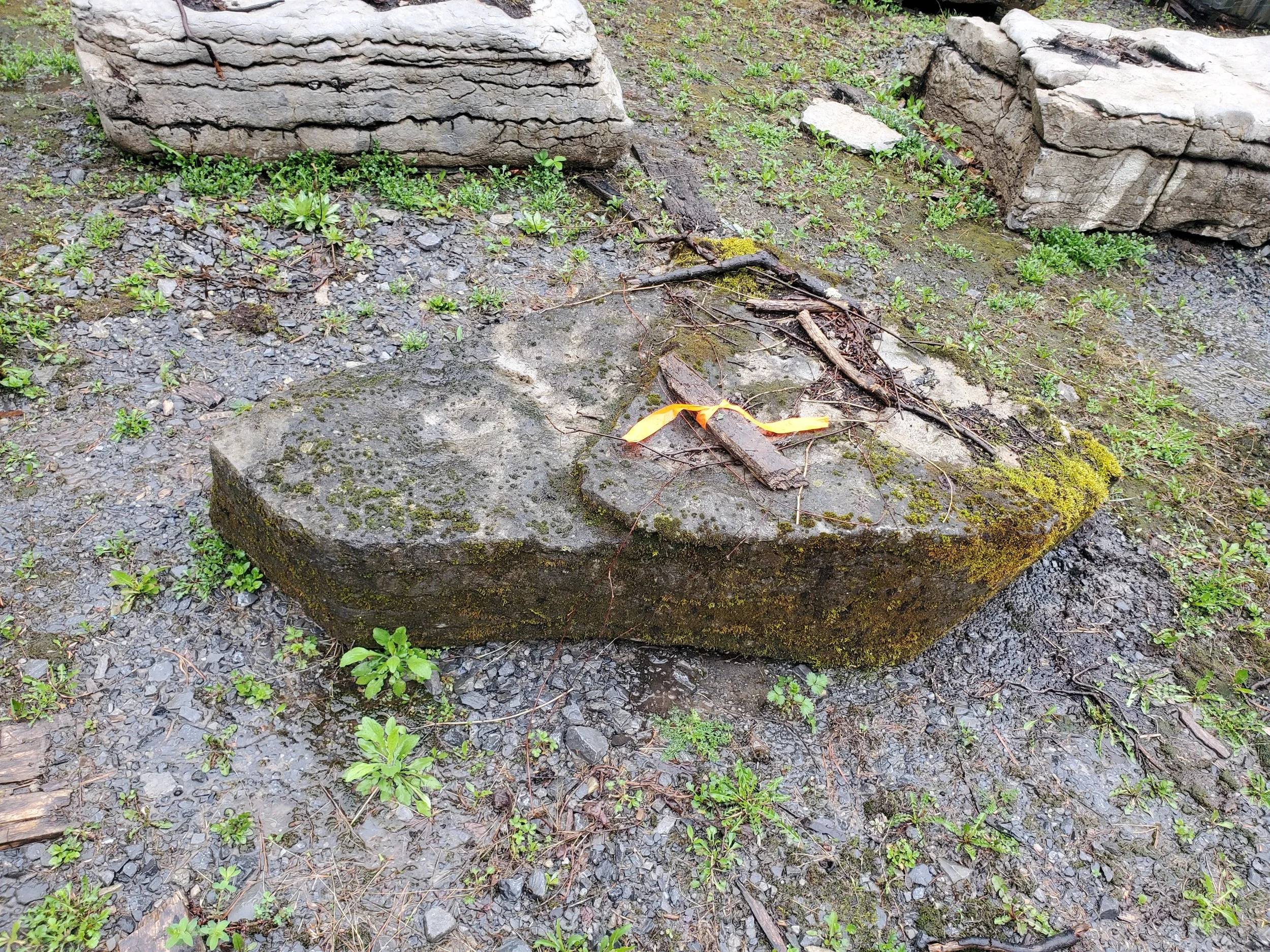 Large moss-covered stone with small sticks and an orange ribbon on top, surrounded by dirt, small plants, and rocks.