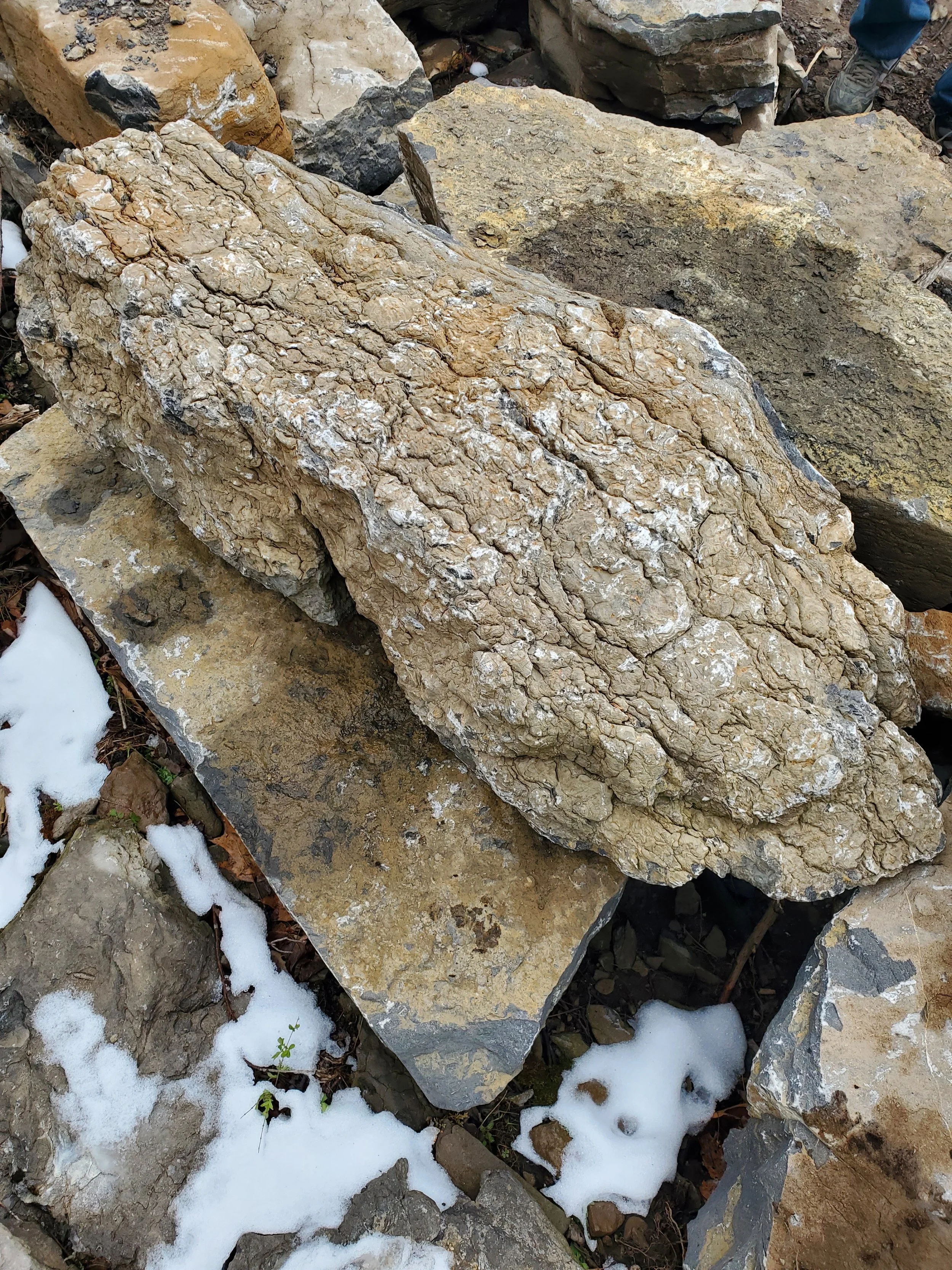 A large, rough-textured beige rock lying on top of other rocks with patches of snow and some plant growth around.