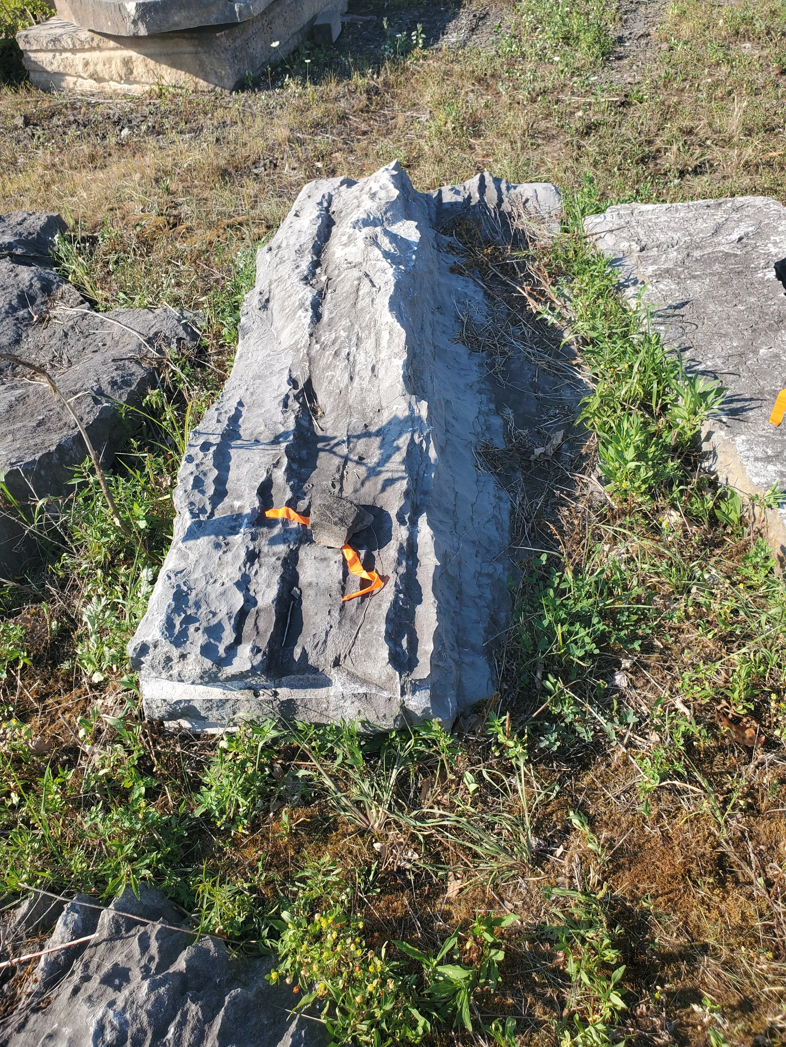A large, jagged gray rock with a small orange ribbon tied around it, surrounded by dry grass, green plants, and smaller rocks.