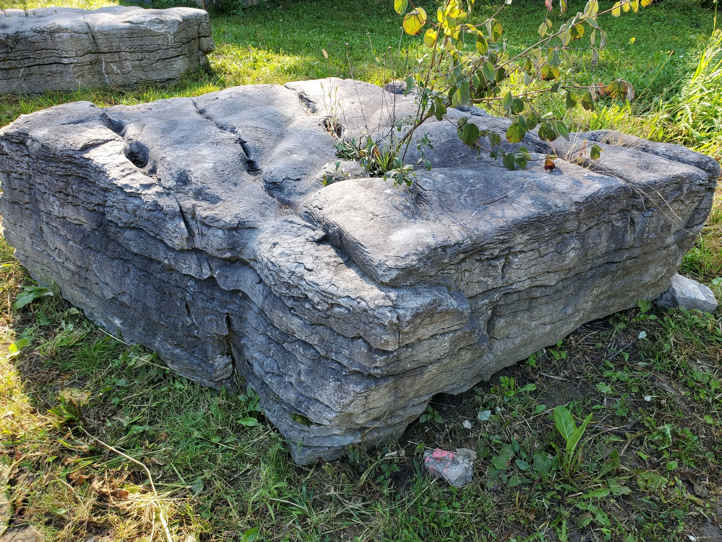 Large rectangular gray stone with rough texture and visible cracks, placed on green grass, with small plants and leaves growing on top.