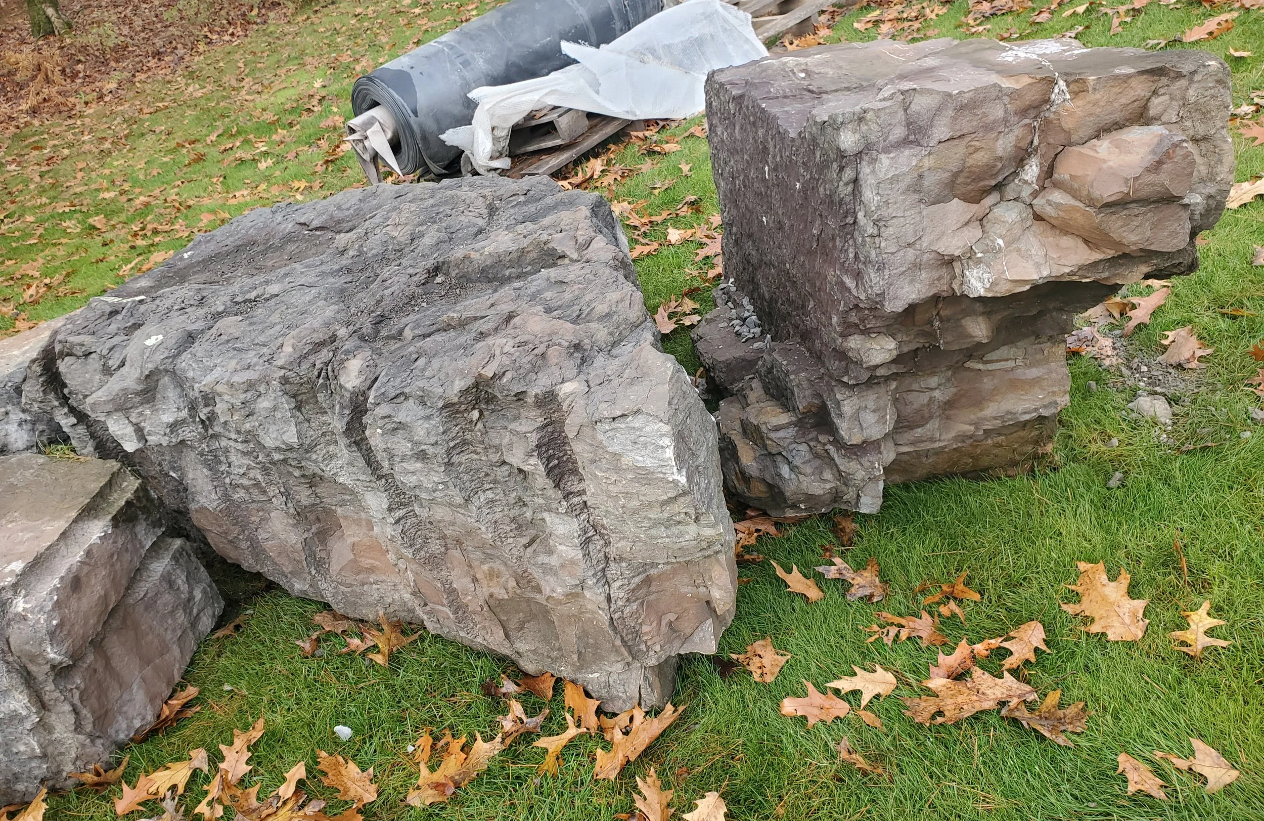 Two large rocks placed on grass with fallen leaves around, and a rolled-up tarpaulin in the background.