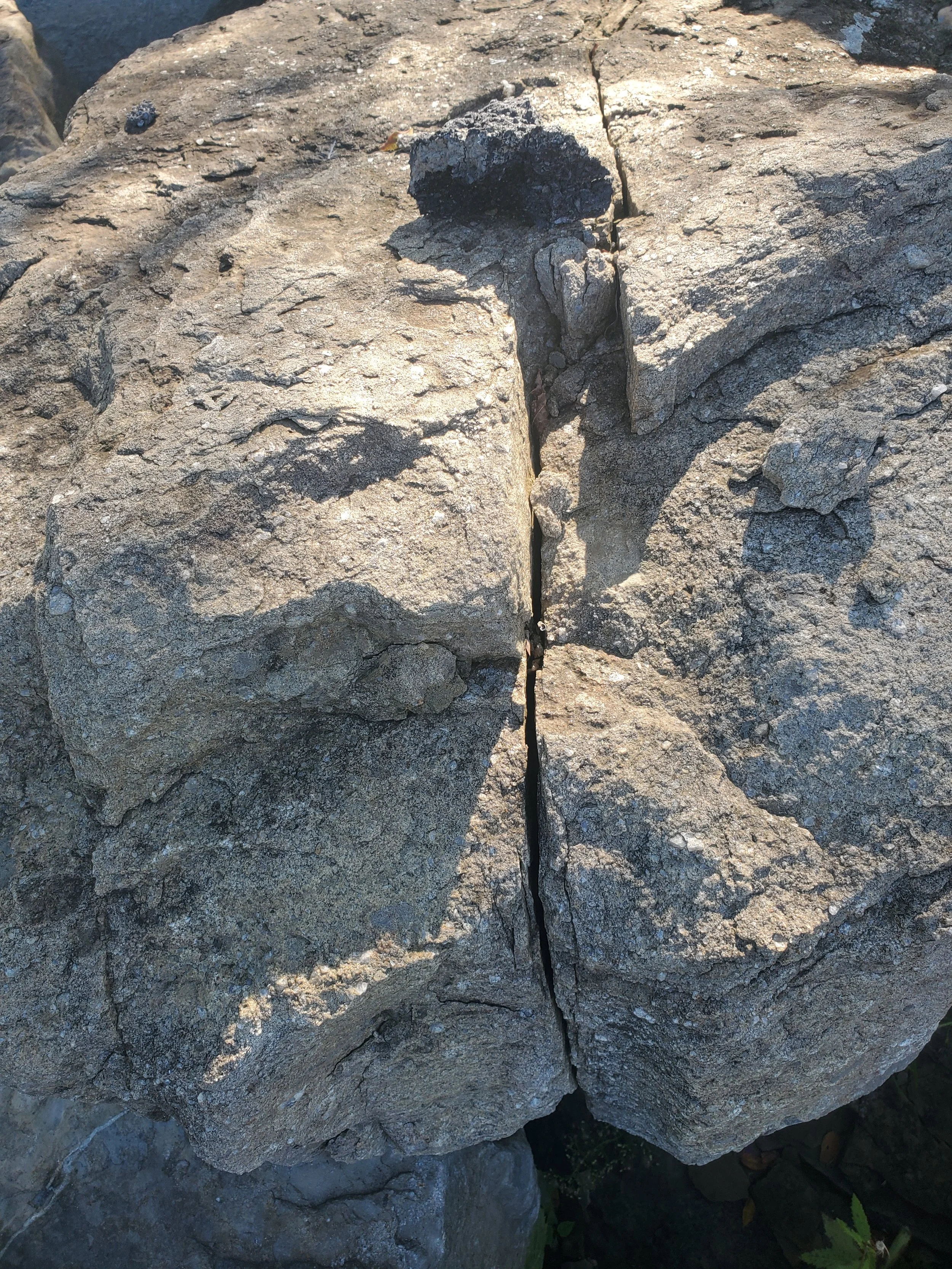 Close-up of large cracked rocks with a visible fissure running through the middle.