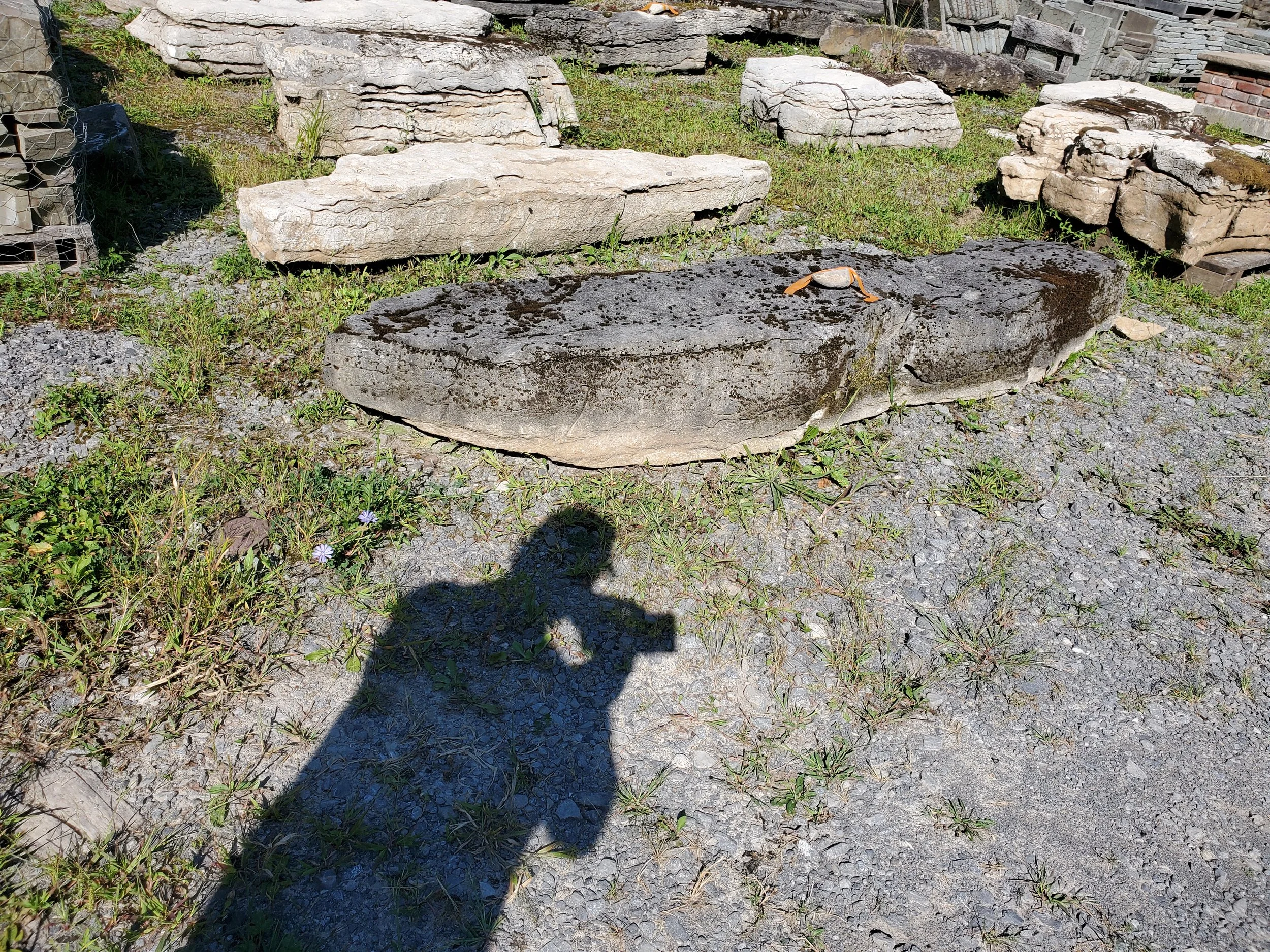 A large flat rock with dark streaks and patches of moss or dirt, surrounded by smaller rocks and gravel on the ground. 