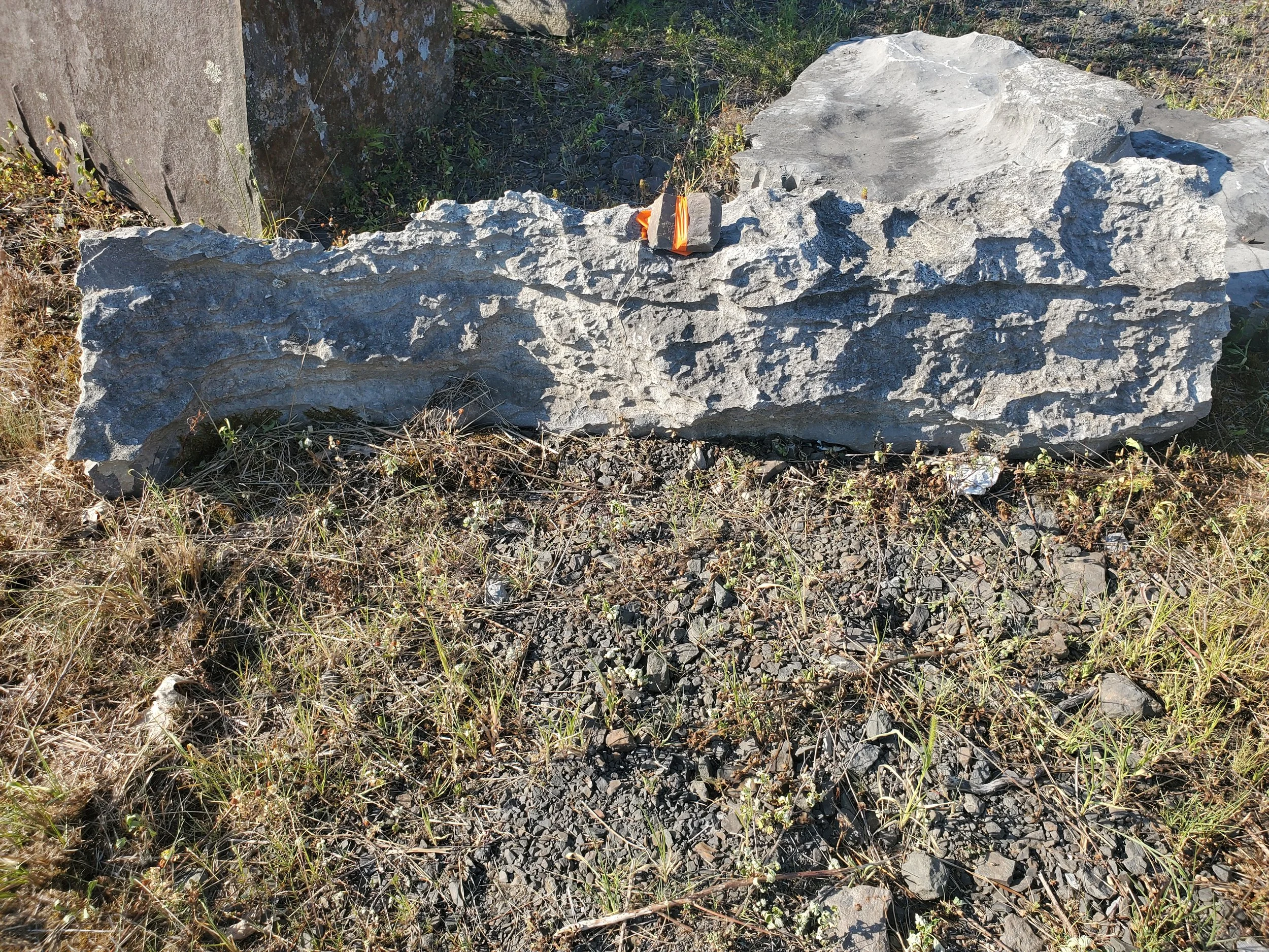 Large gray rock placed on the ground amidst dry grass and small stones, with a smaller rock and some greenery in the background.