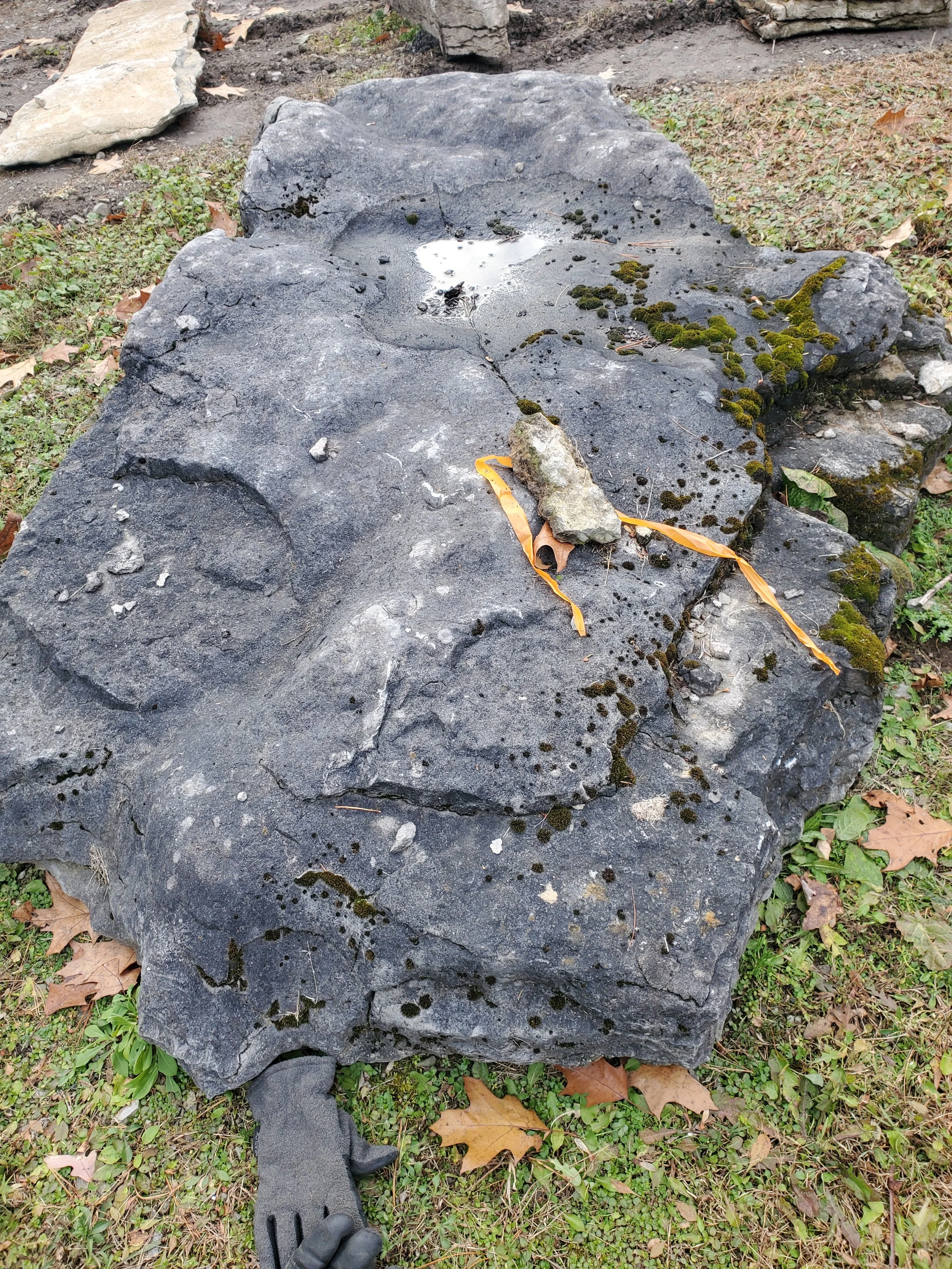 Large black rock with moss and small indentations, surrounded by grass and fallen leaves, with a glove visible at the bottom left corner.